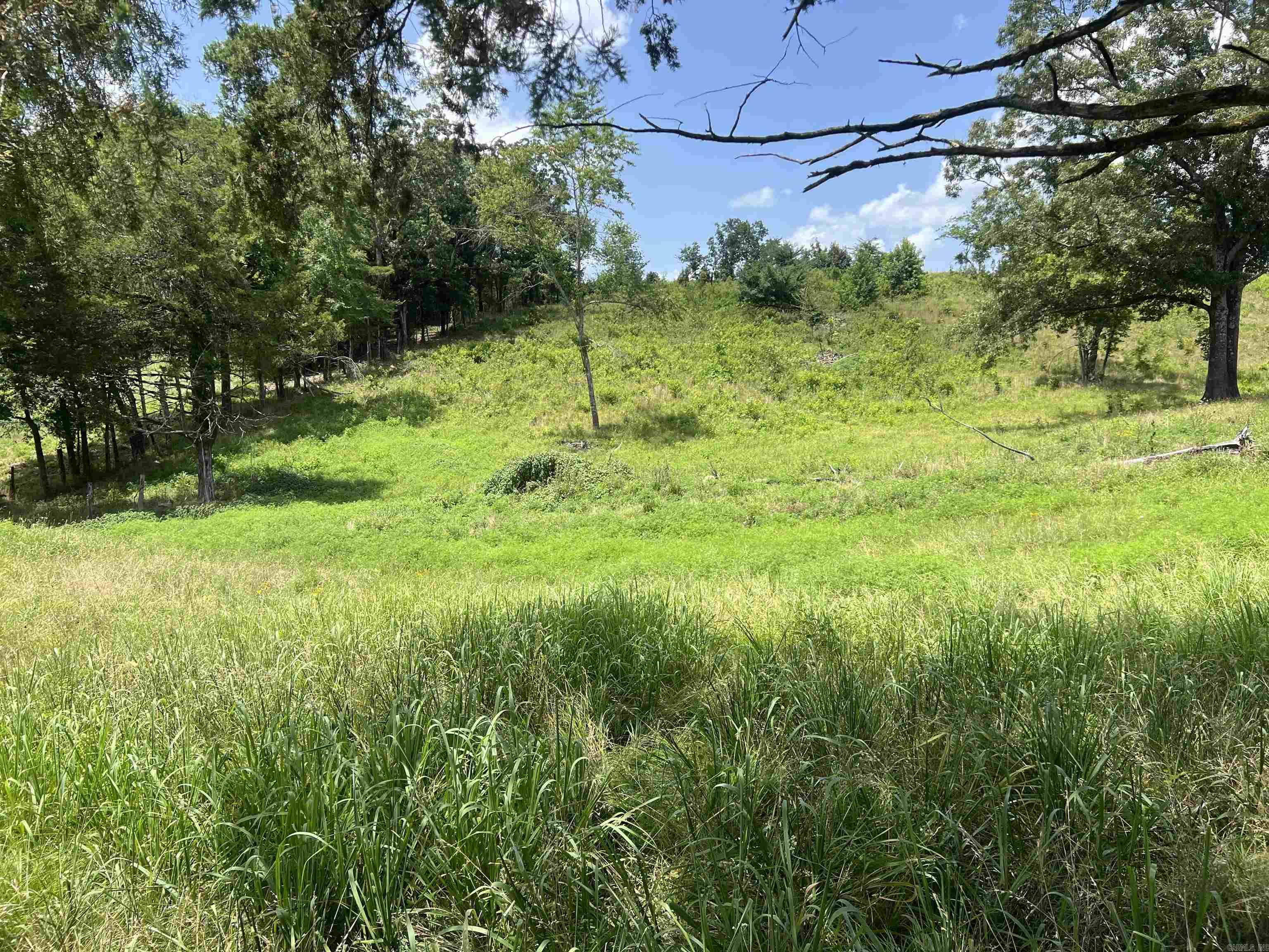 352 King  Gillham, AR
