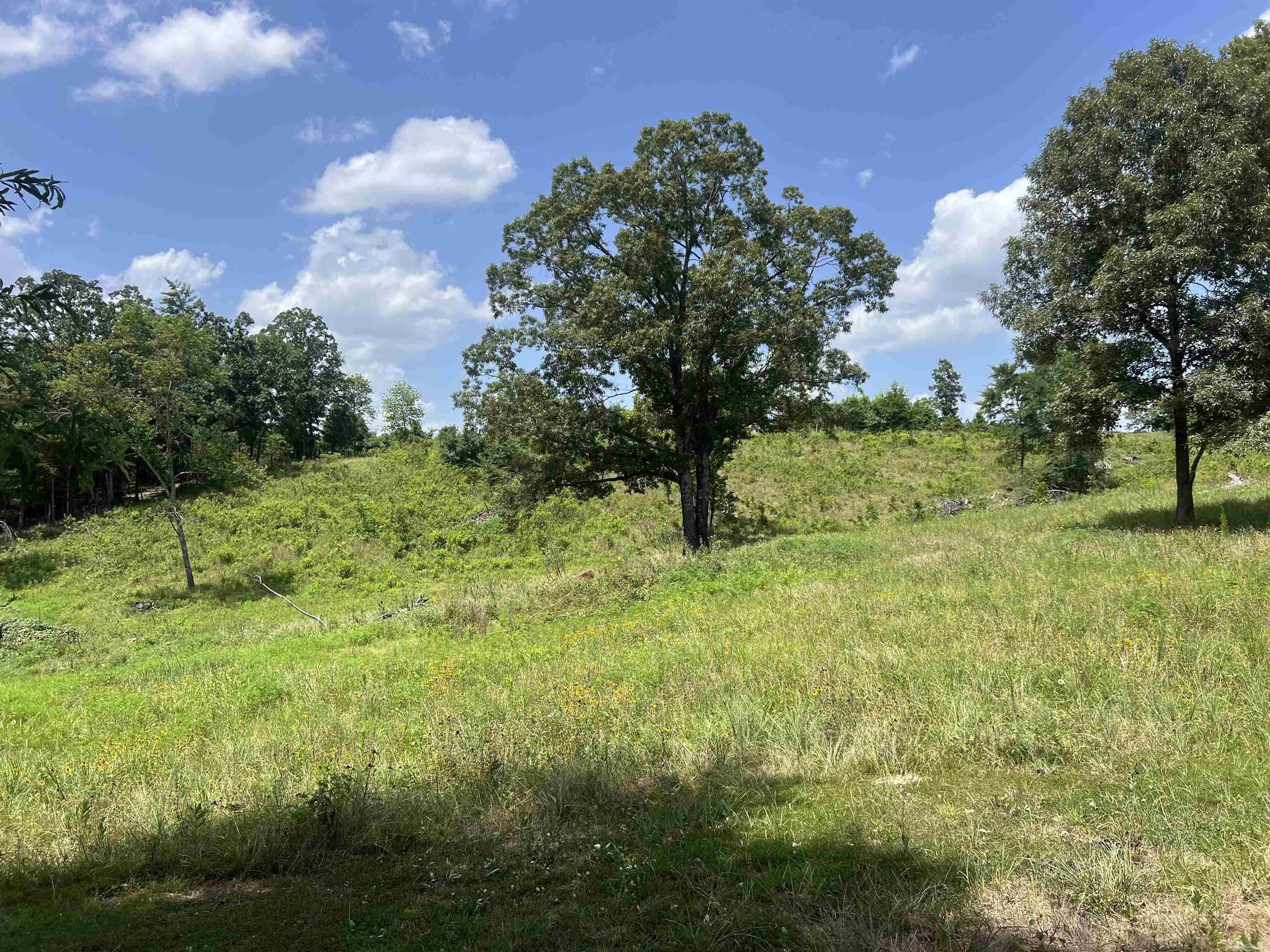 352 King  Gillham, AR
