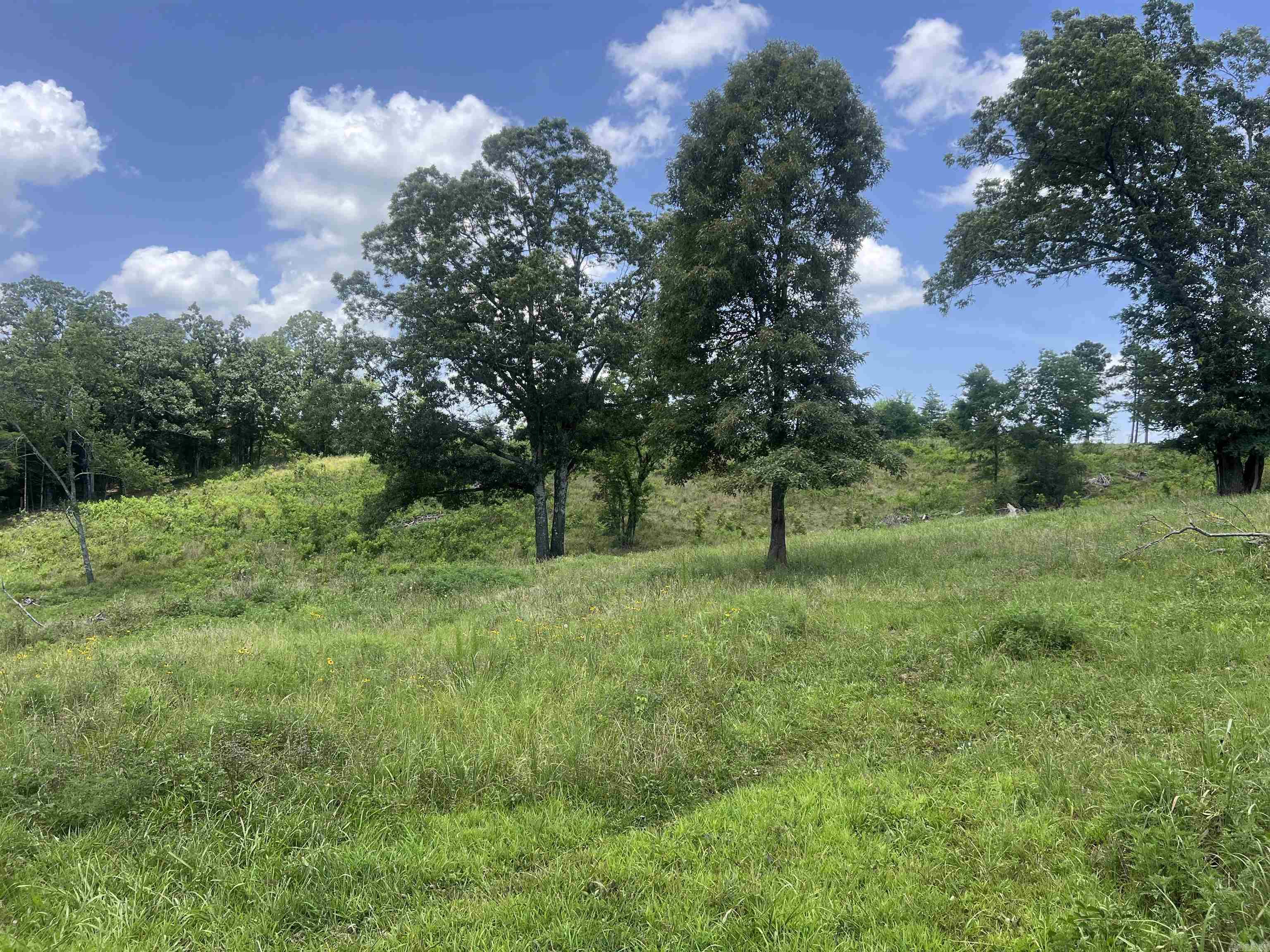 352 King  Gillham, AR