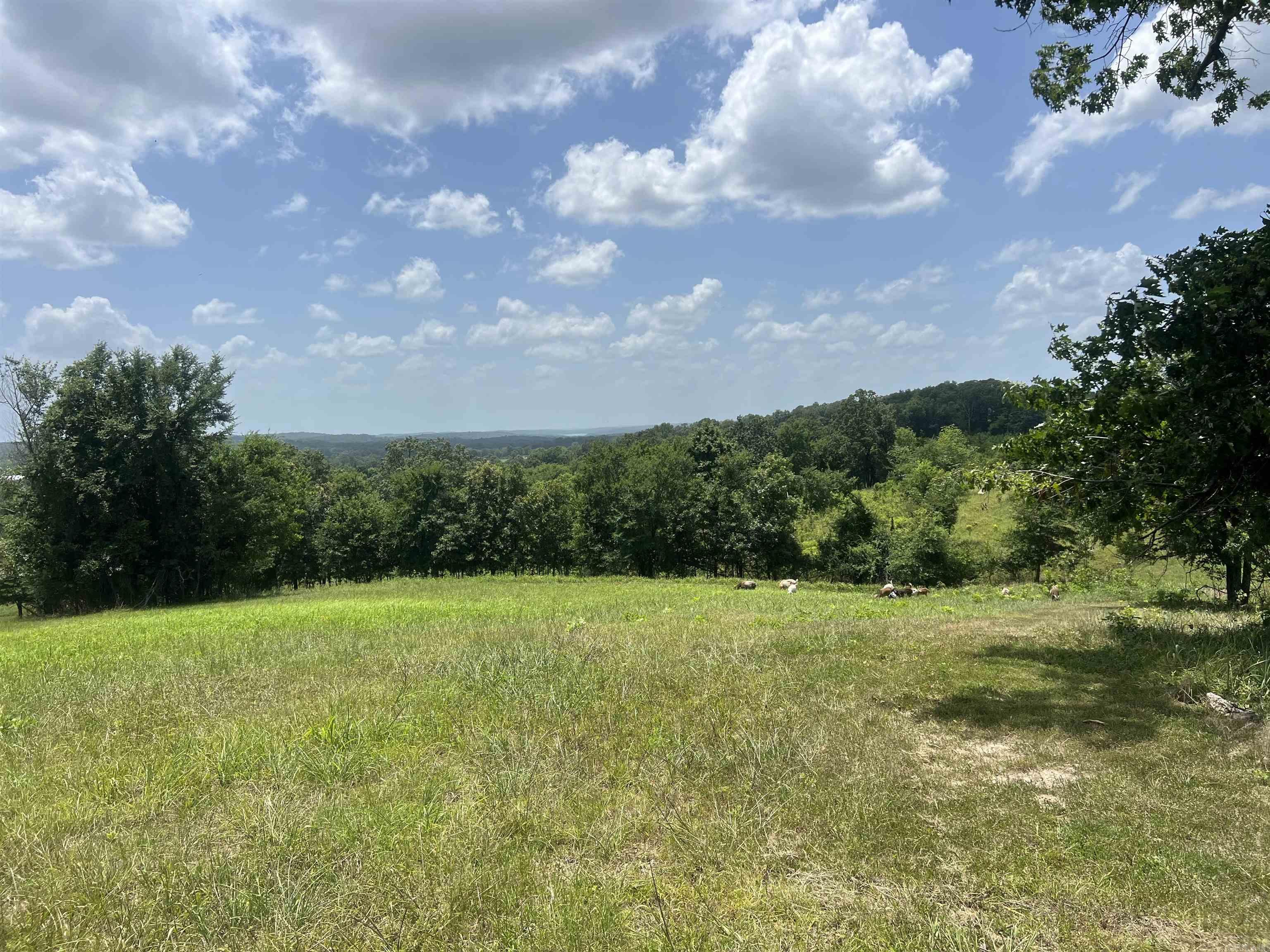352 King  Gillham, AR