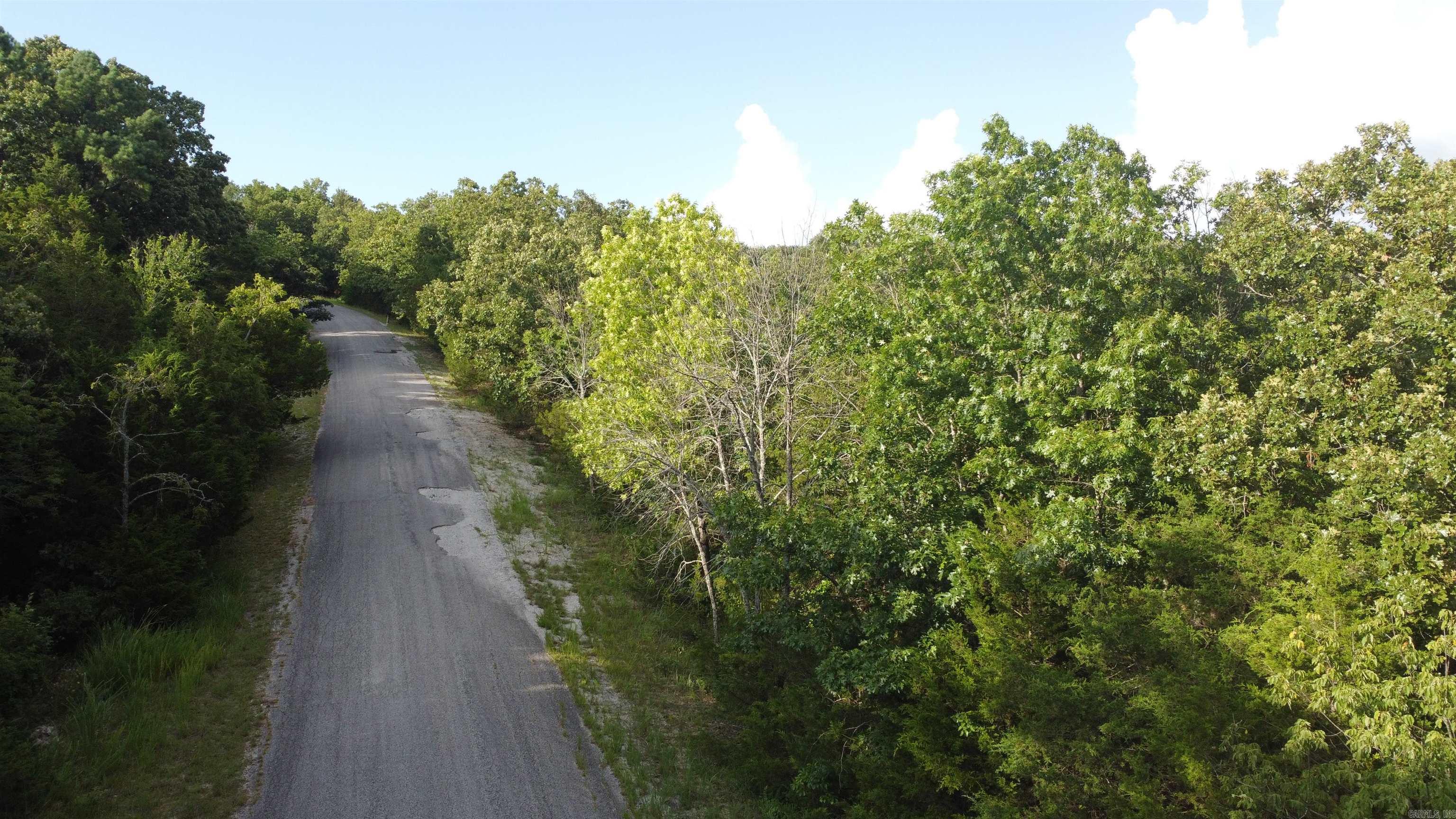 1310 Michigan Ave  Horseshoe Bend, AR