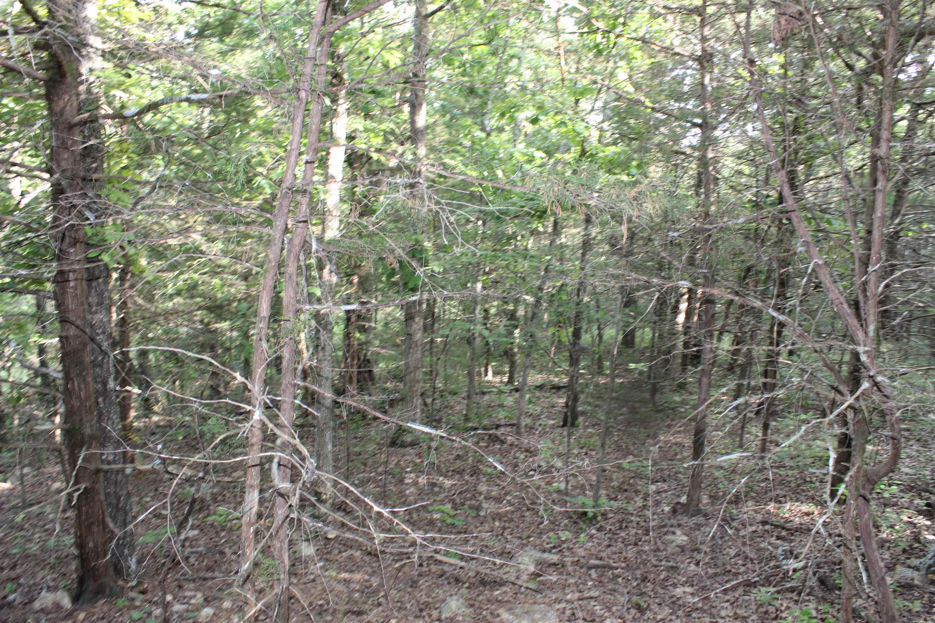 1310 Michigan Ave  Horseshoe Bend, AR