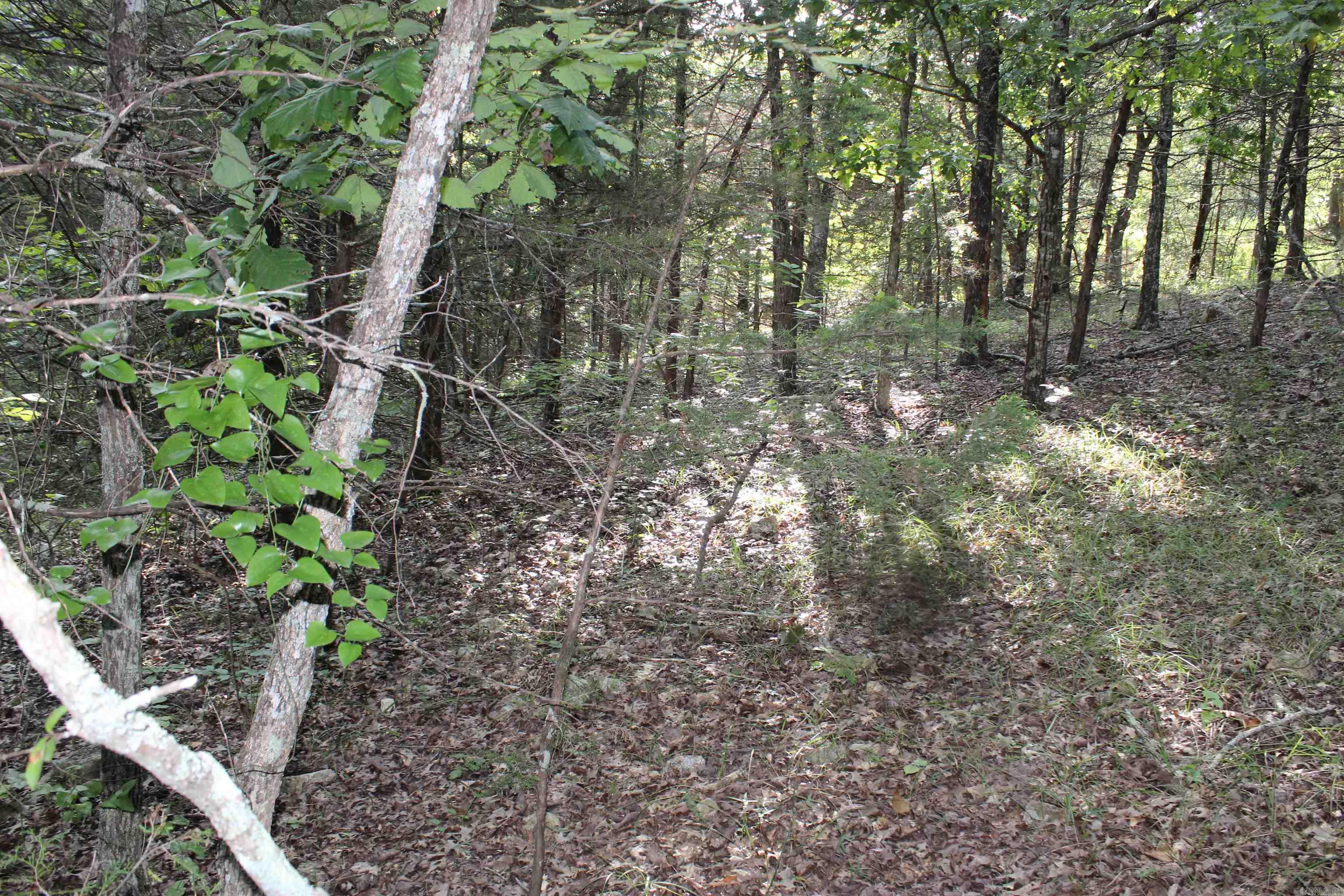 1310 Michigan Ave  Horseshoe Bend, AR