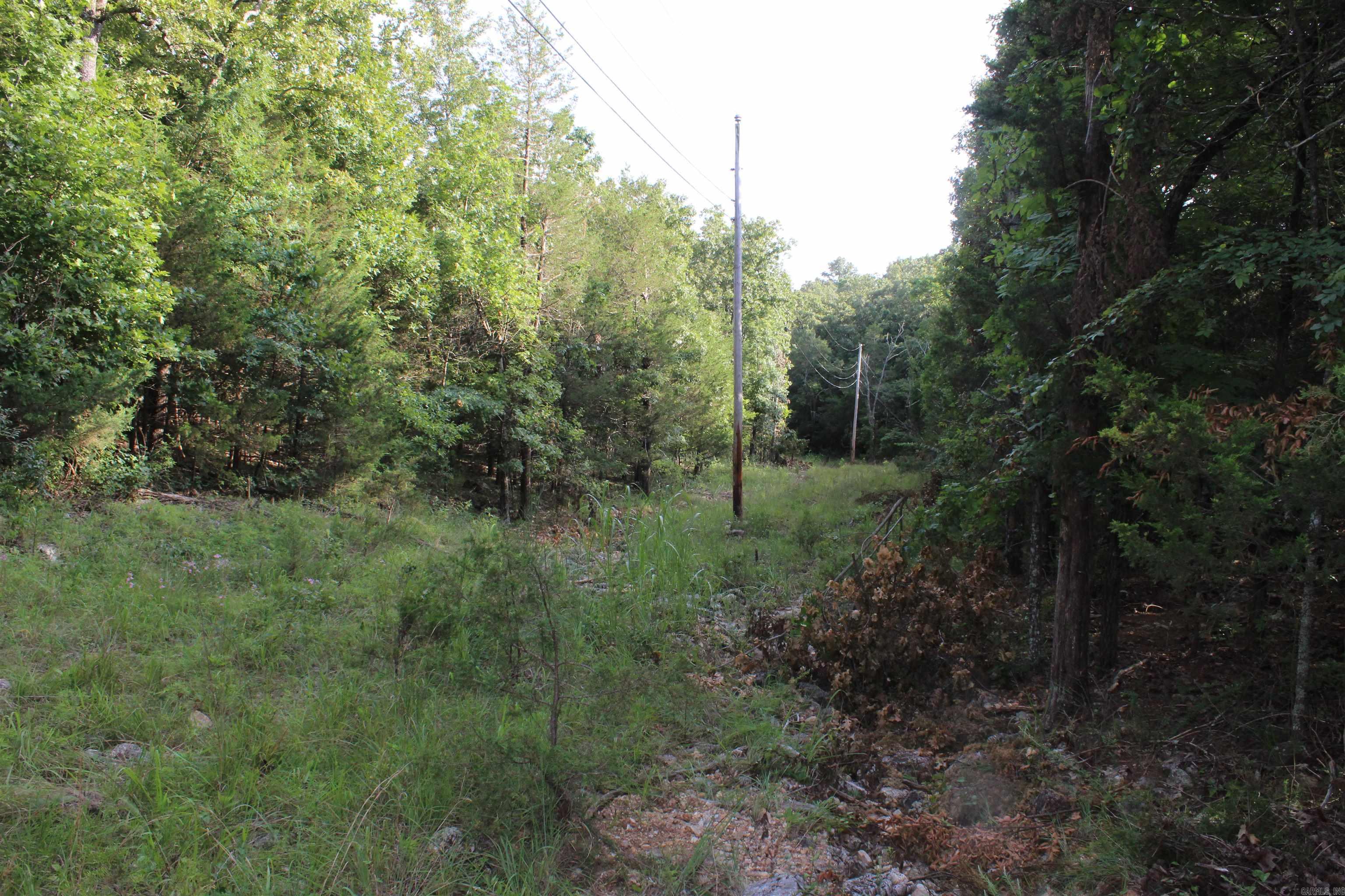 1310 Michigan Ave  Horseshoe Bend, AR