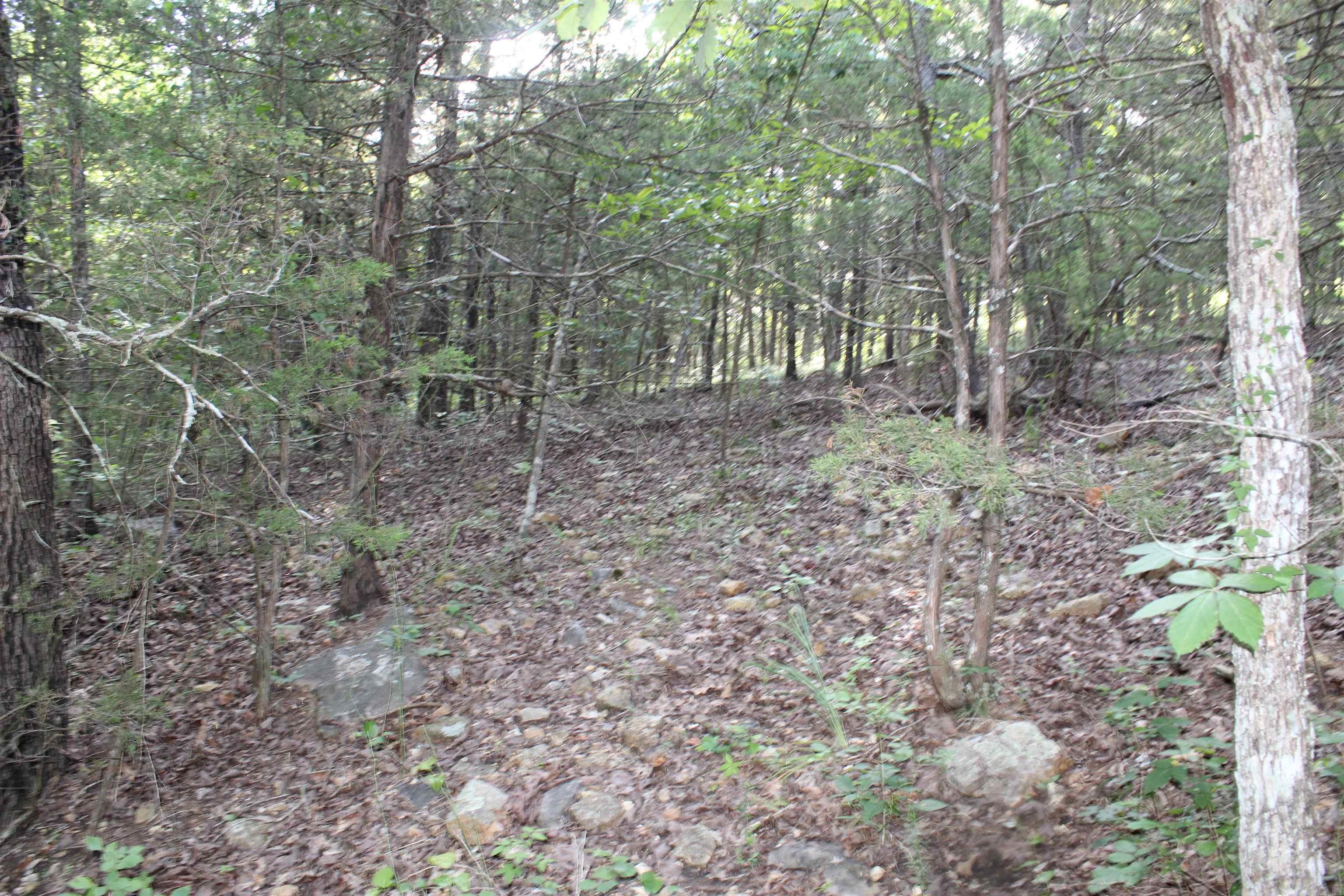 1310 Michigan Ave  Horseshoe Bend, AR