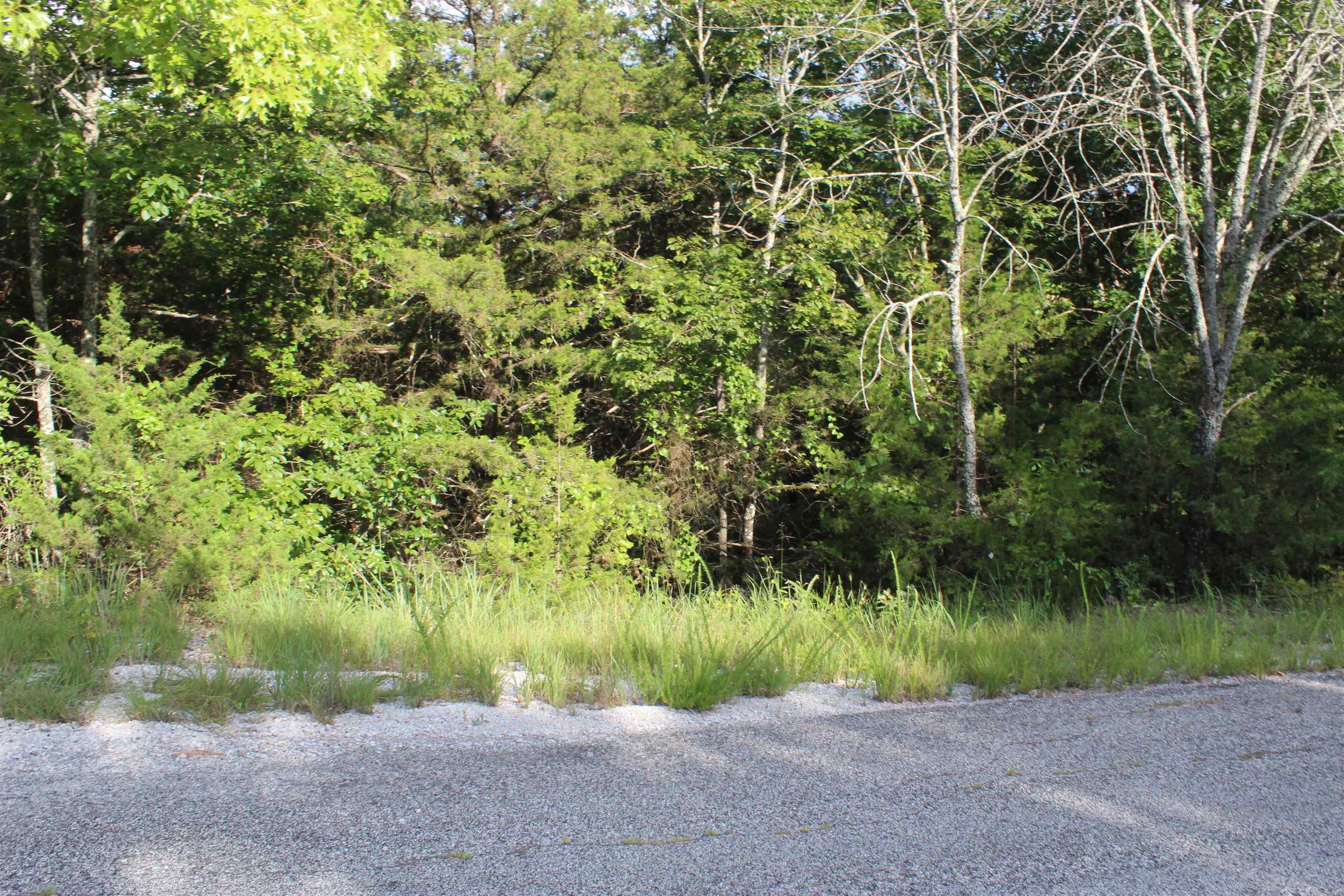 1310 Michigan Ave  Horseshoe Bend, AR