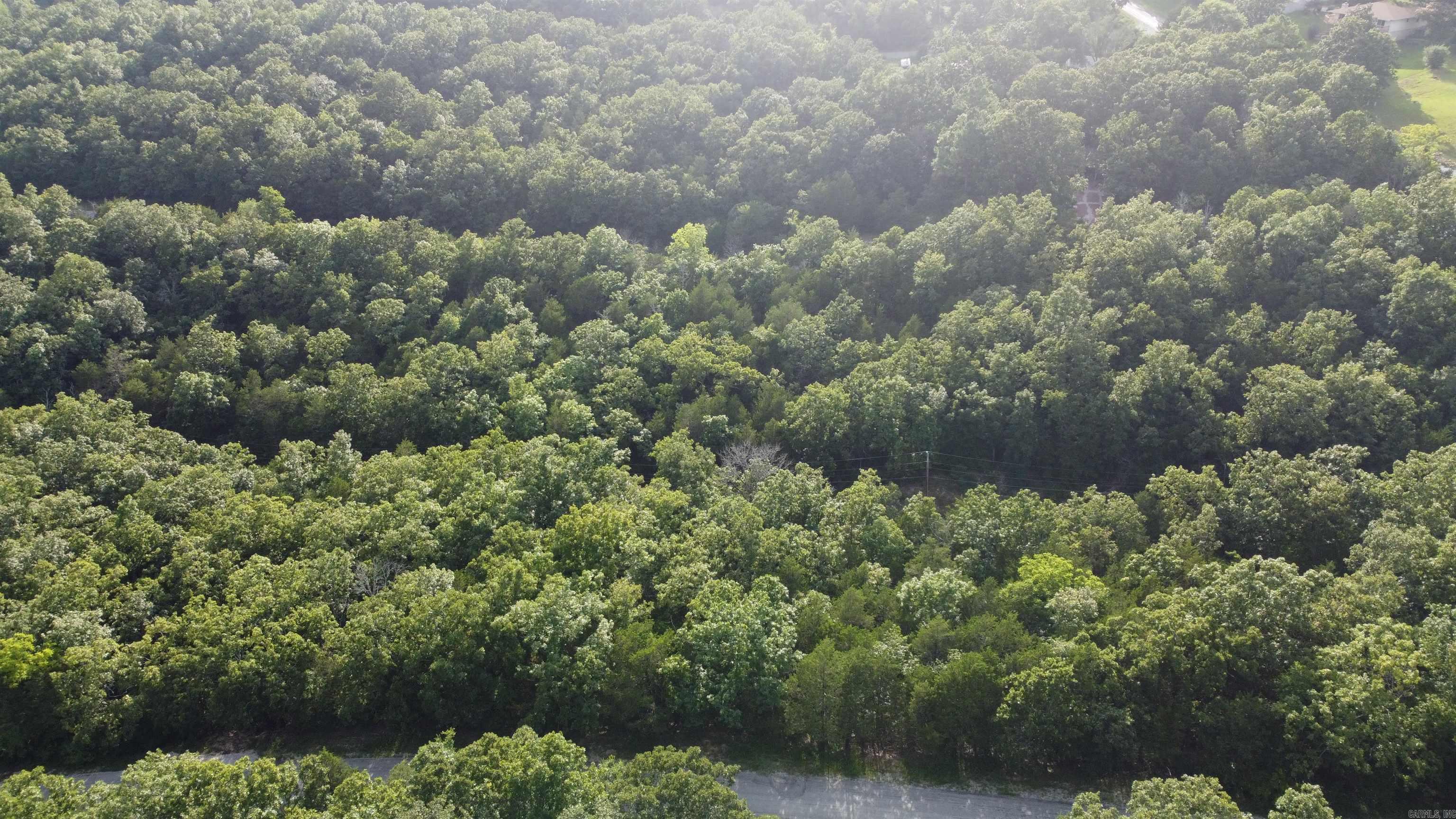 1310 Michigan Ave  Horseshoe Bend, AR