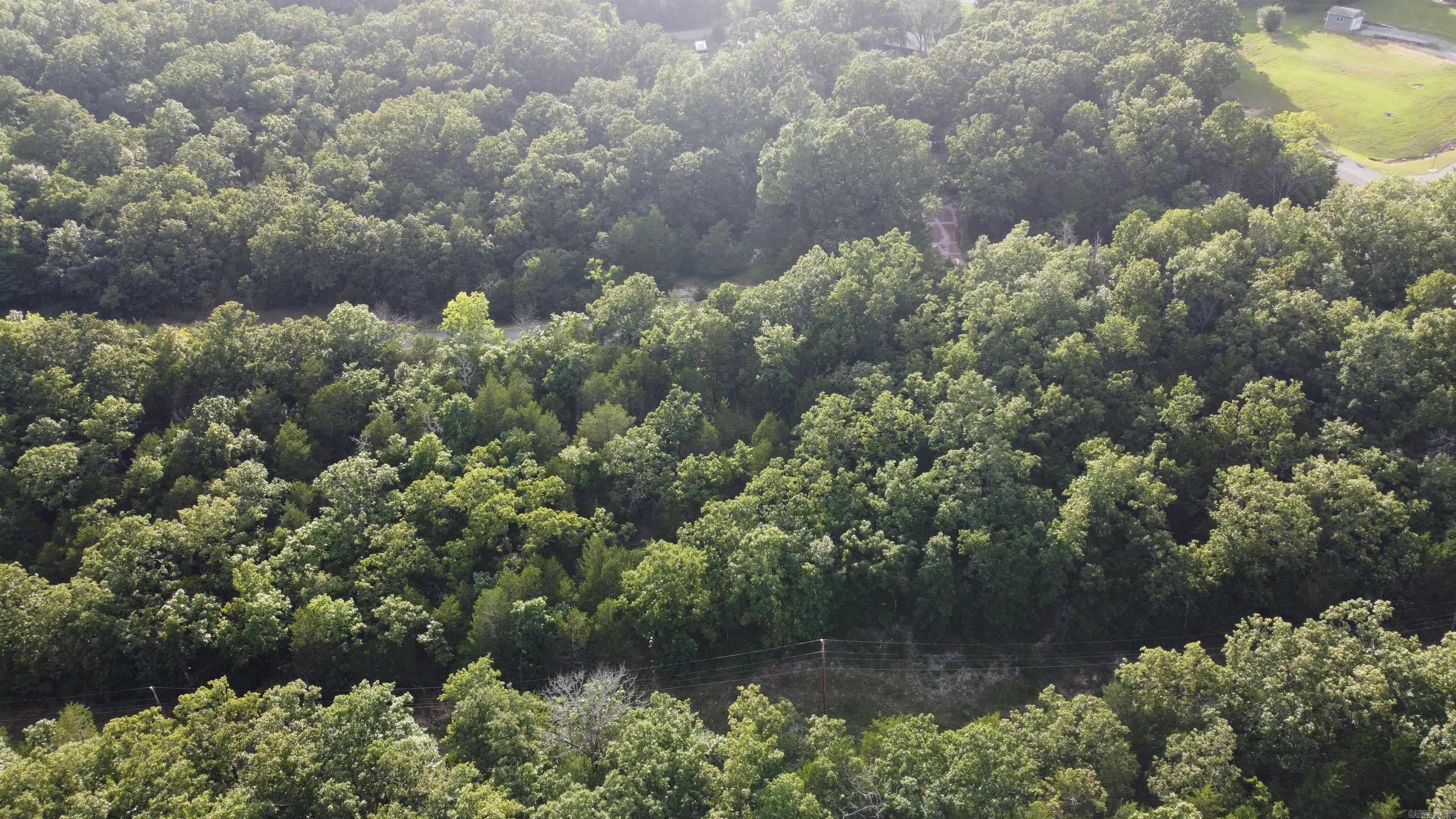 1310 Michigan Ave  Horseshoe Bend, AR