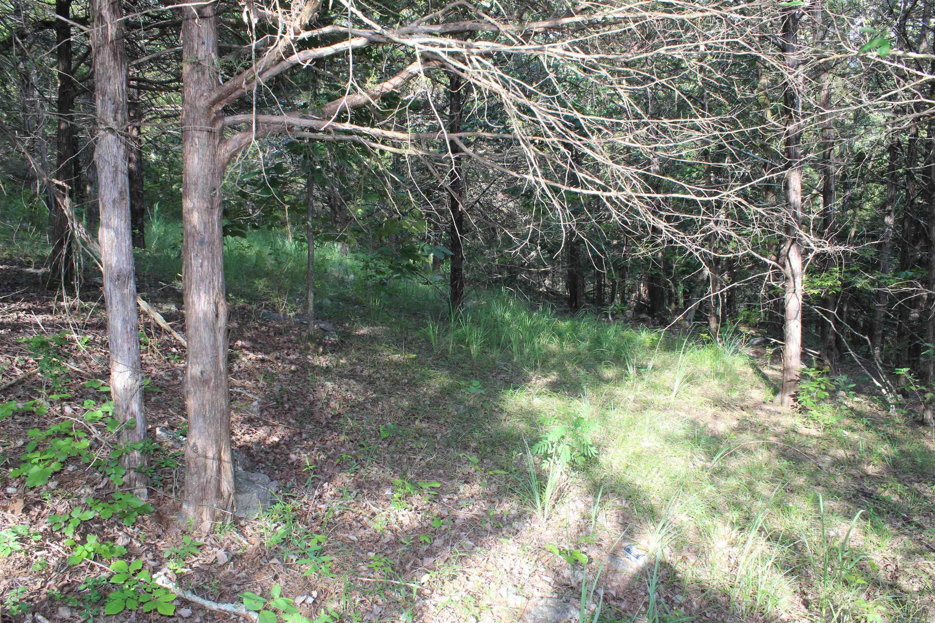 1310 Michigan Ave  Horseshoe Bend, AR
