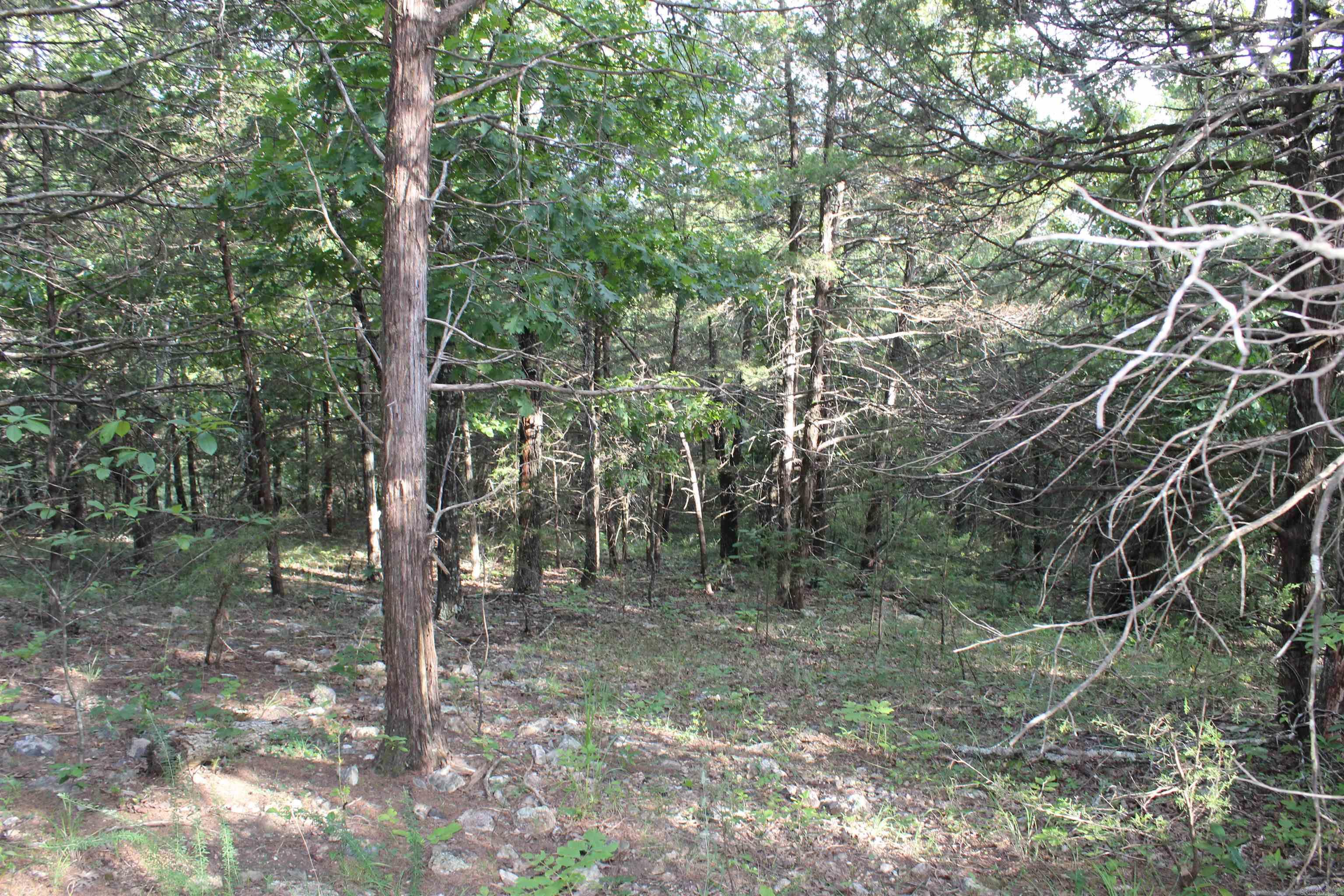 1310 Michigan Ave  Horseshoe Bend, AR