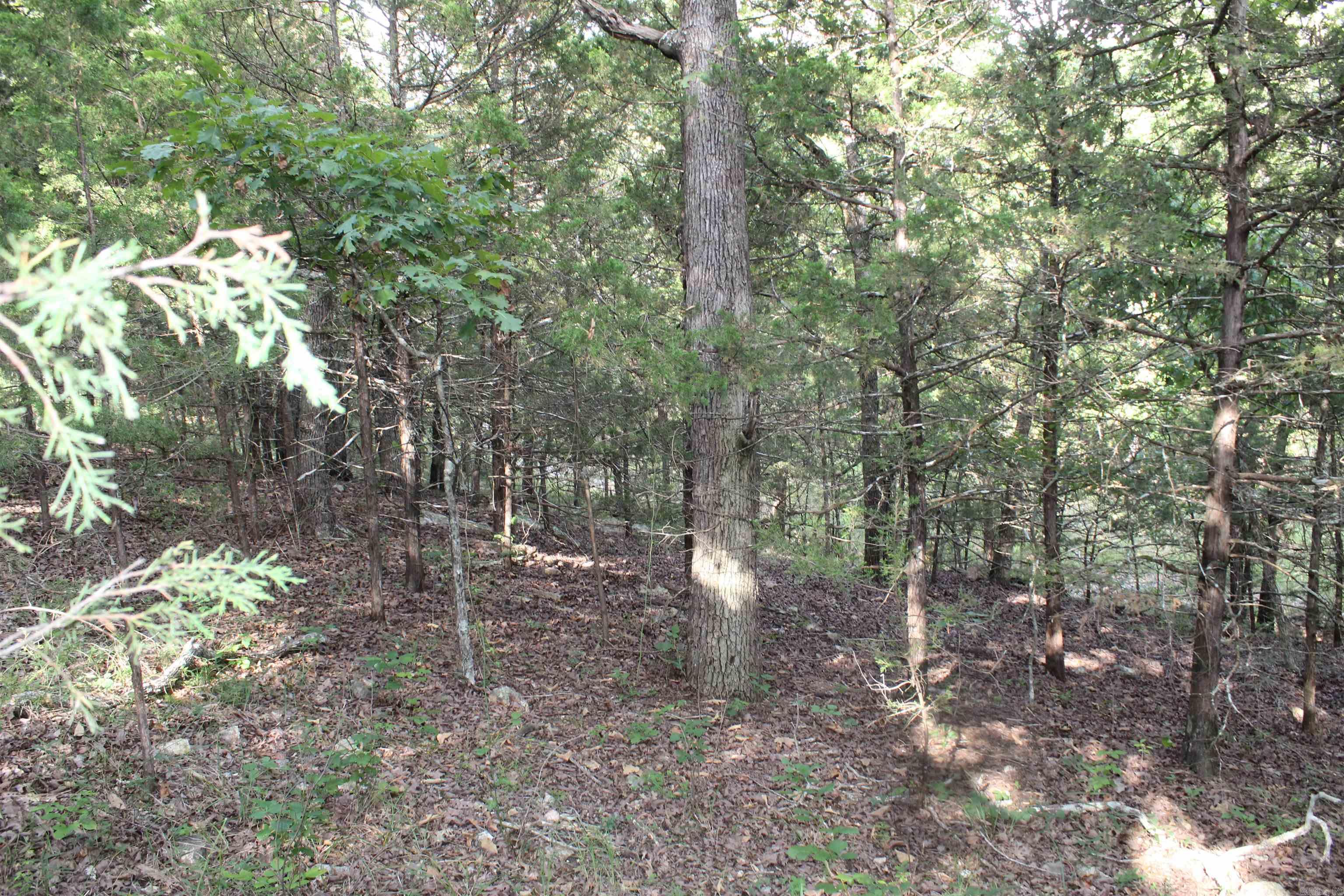 1310 Michigan Ave  Horseshoe Bend, AR