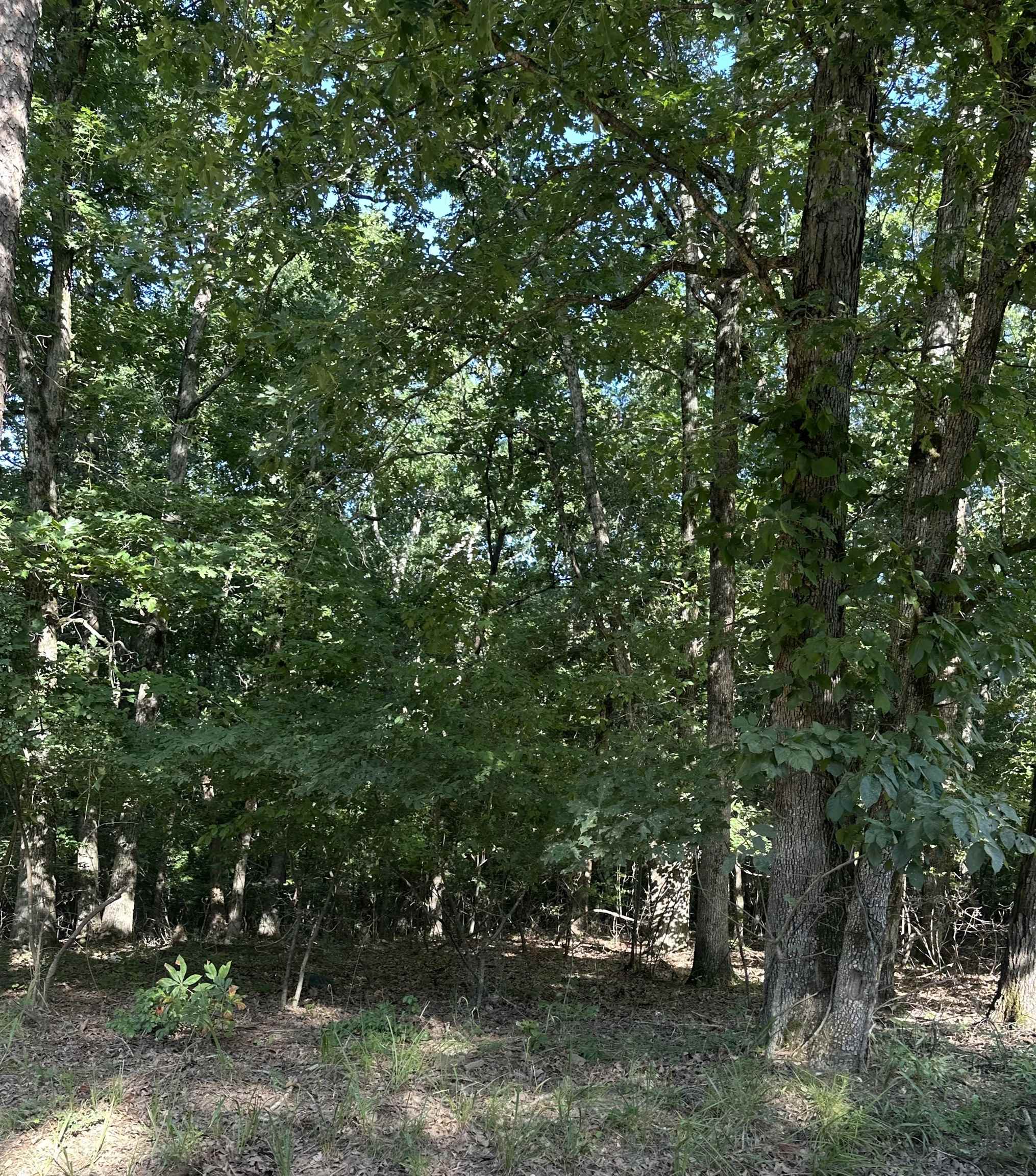 5 Acres Greene 614  Paragould, AR