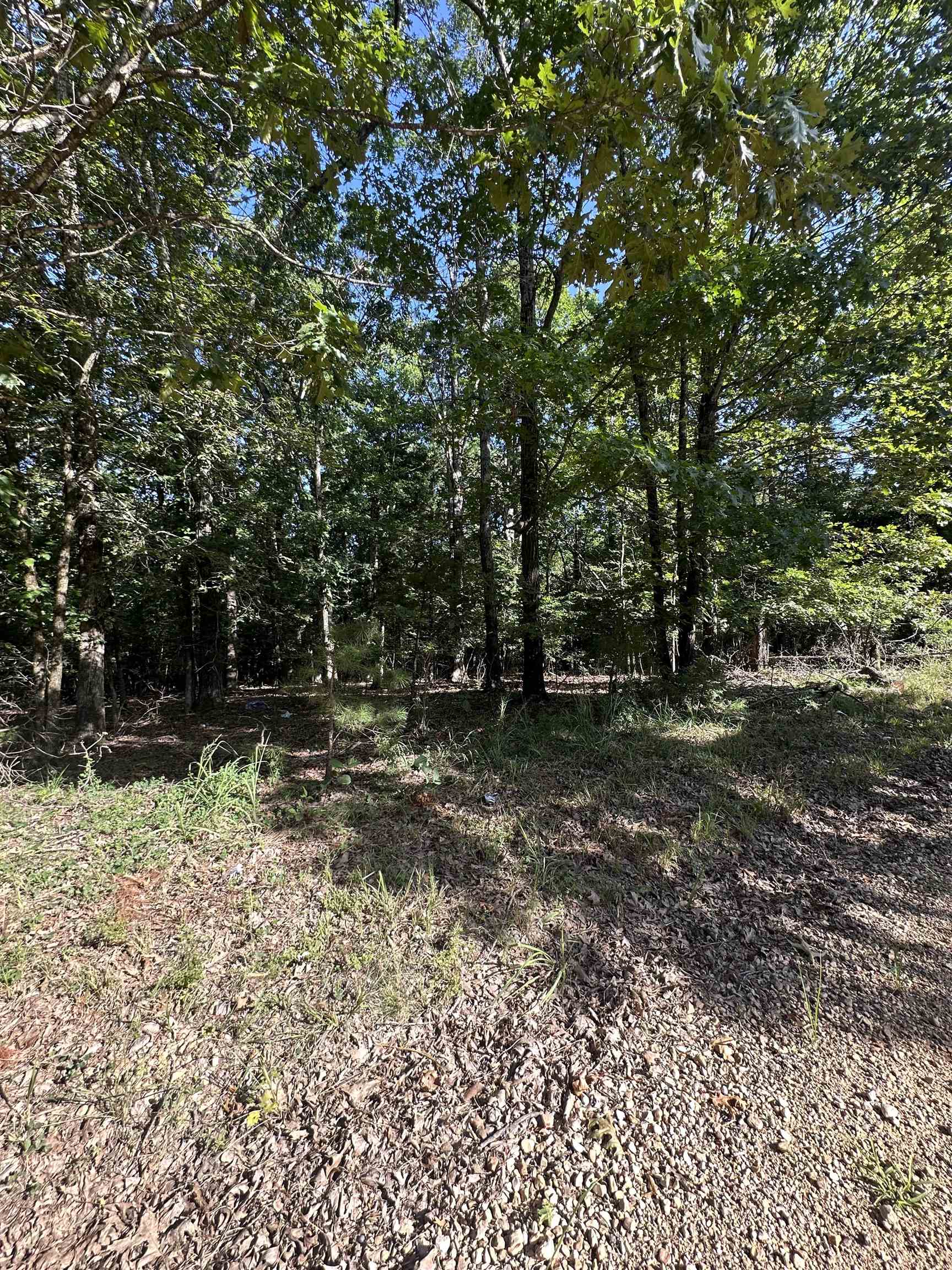 5 Acres Greene 614  Paragould, AR