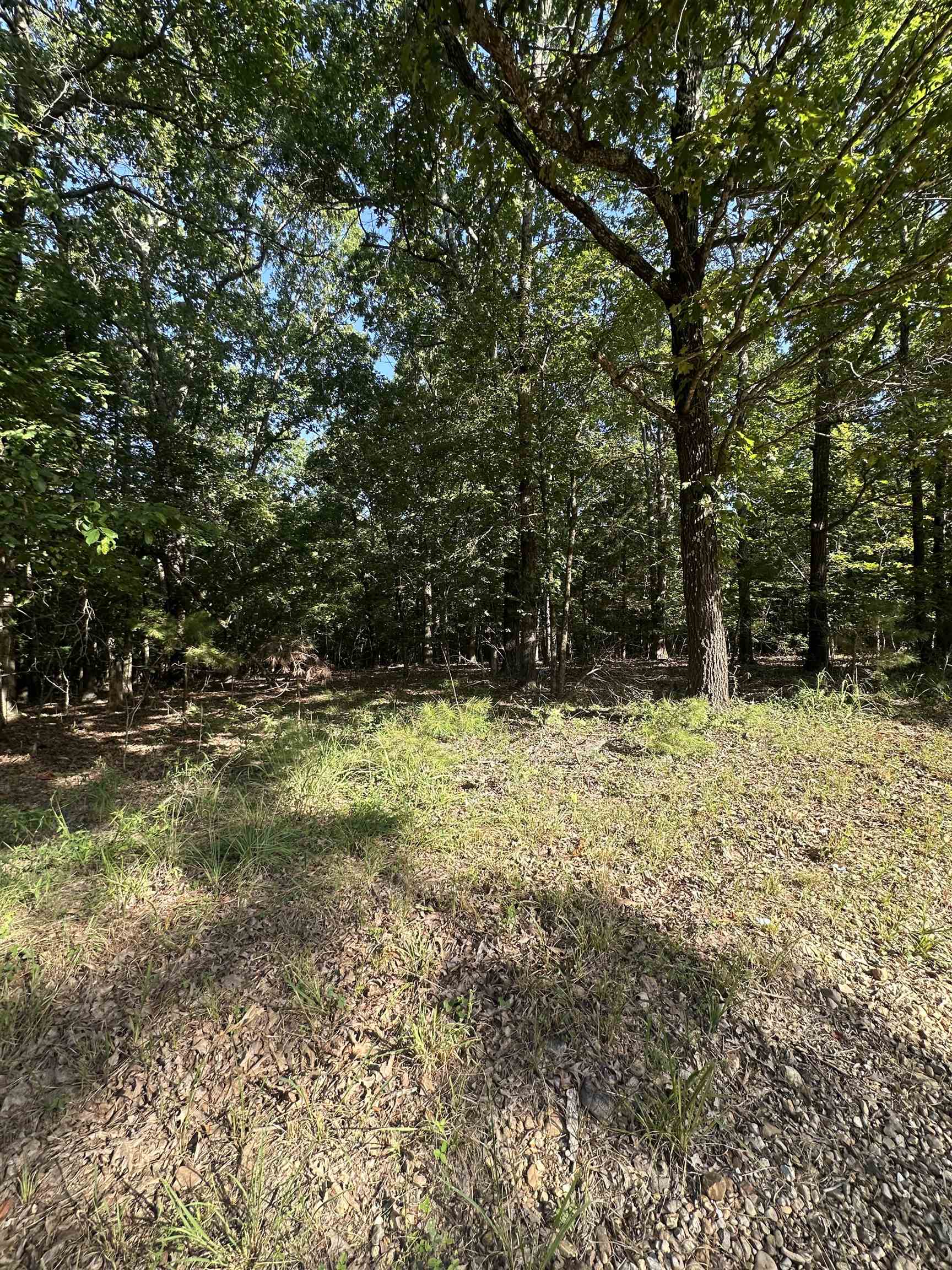 5 Acres Greene 614  Paragould, AR