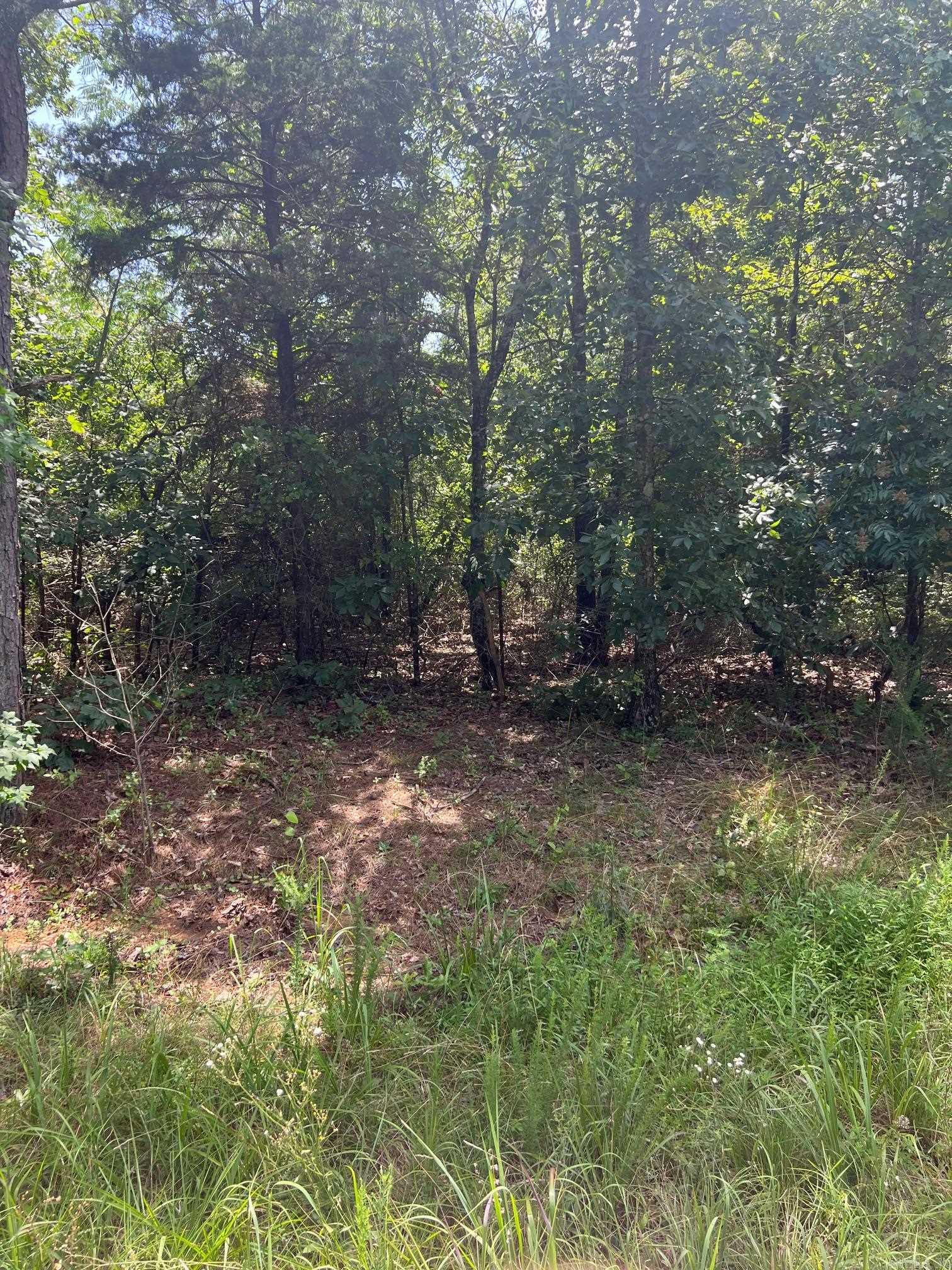 0000 Burnt Ridge Rd.  Shirley, AR