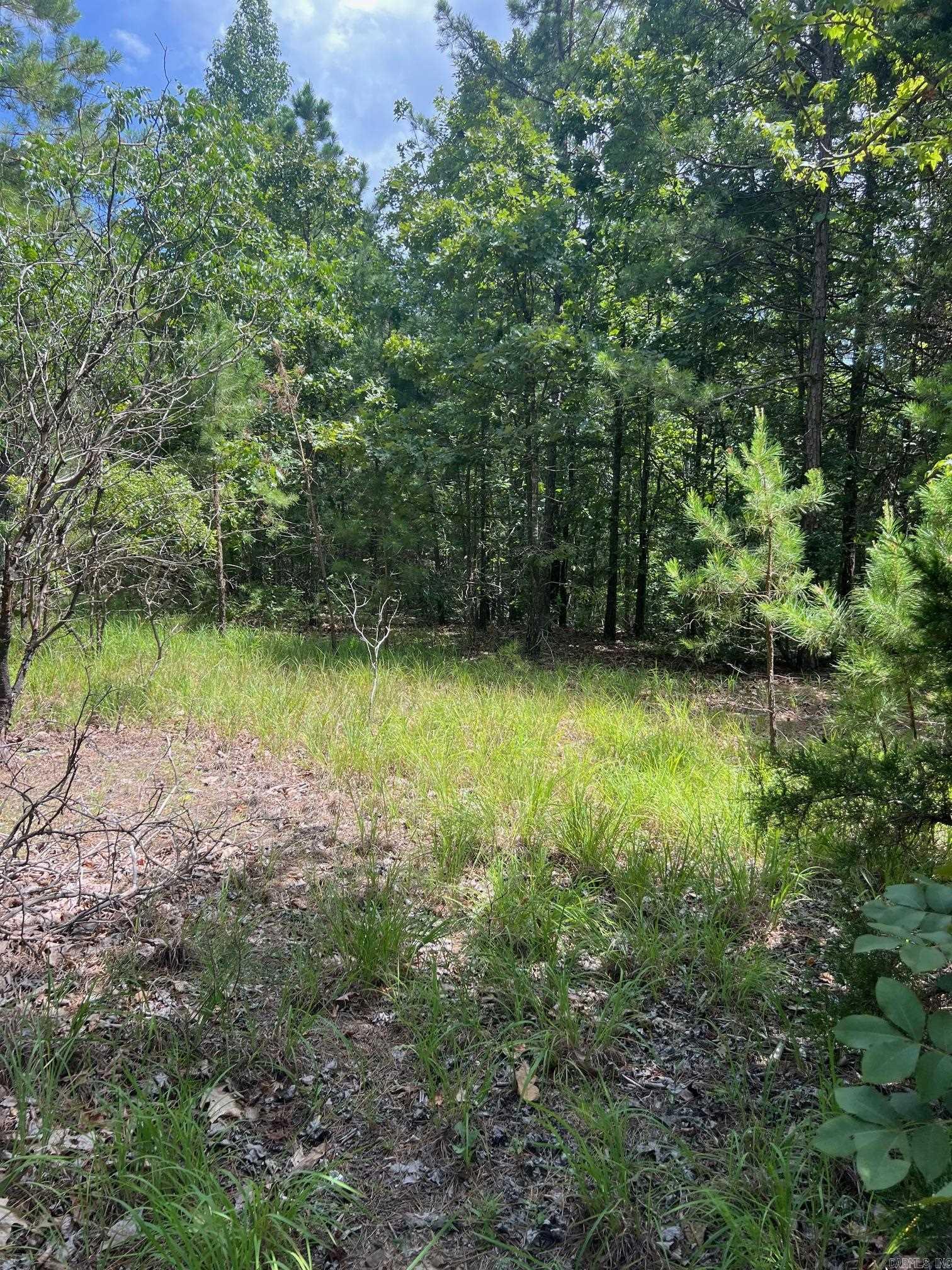 0000 Burnt Ridge Rd.  Shirley, AR