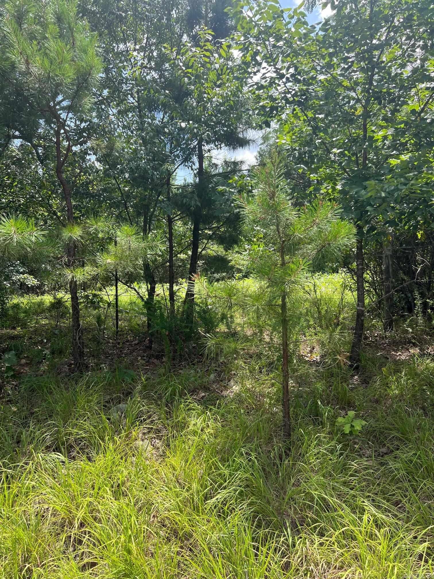 0000 Burnt Ridge Rd.  Shirley, AR