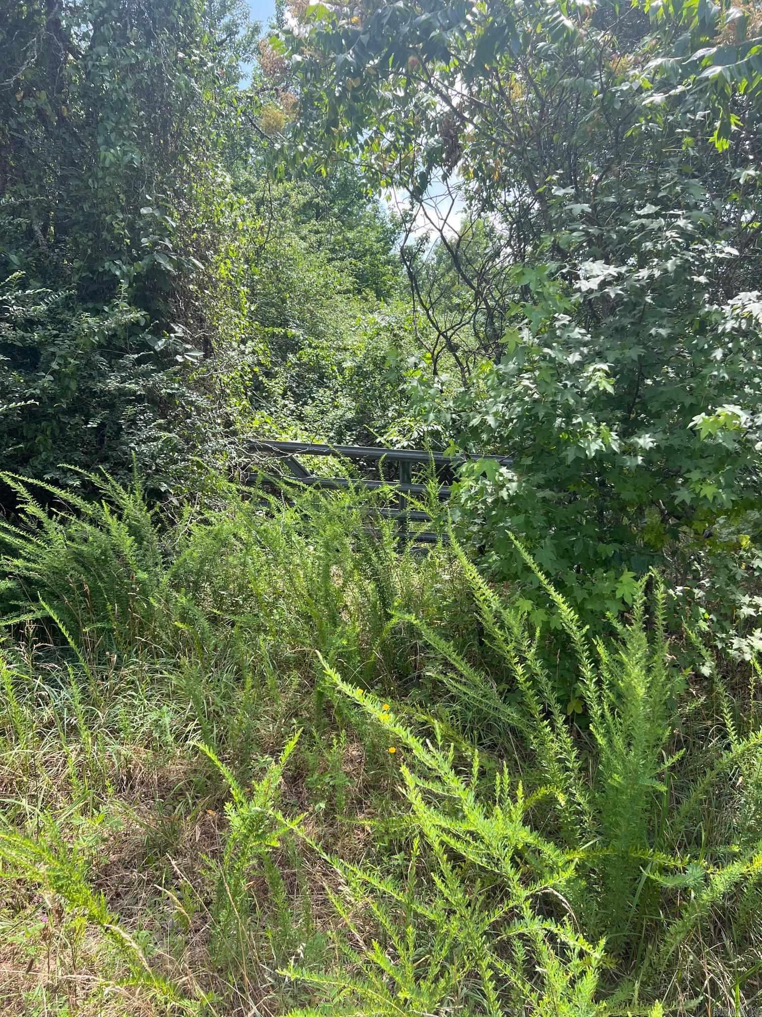 0000 Burnt Ridge Rd.  Shirley, AR