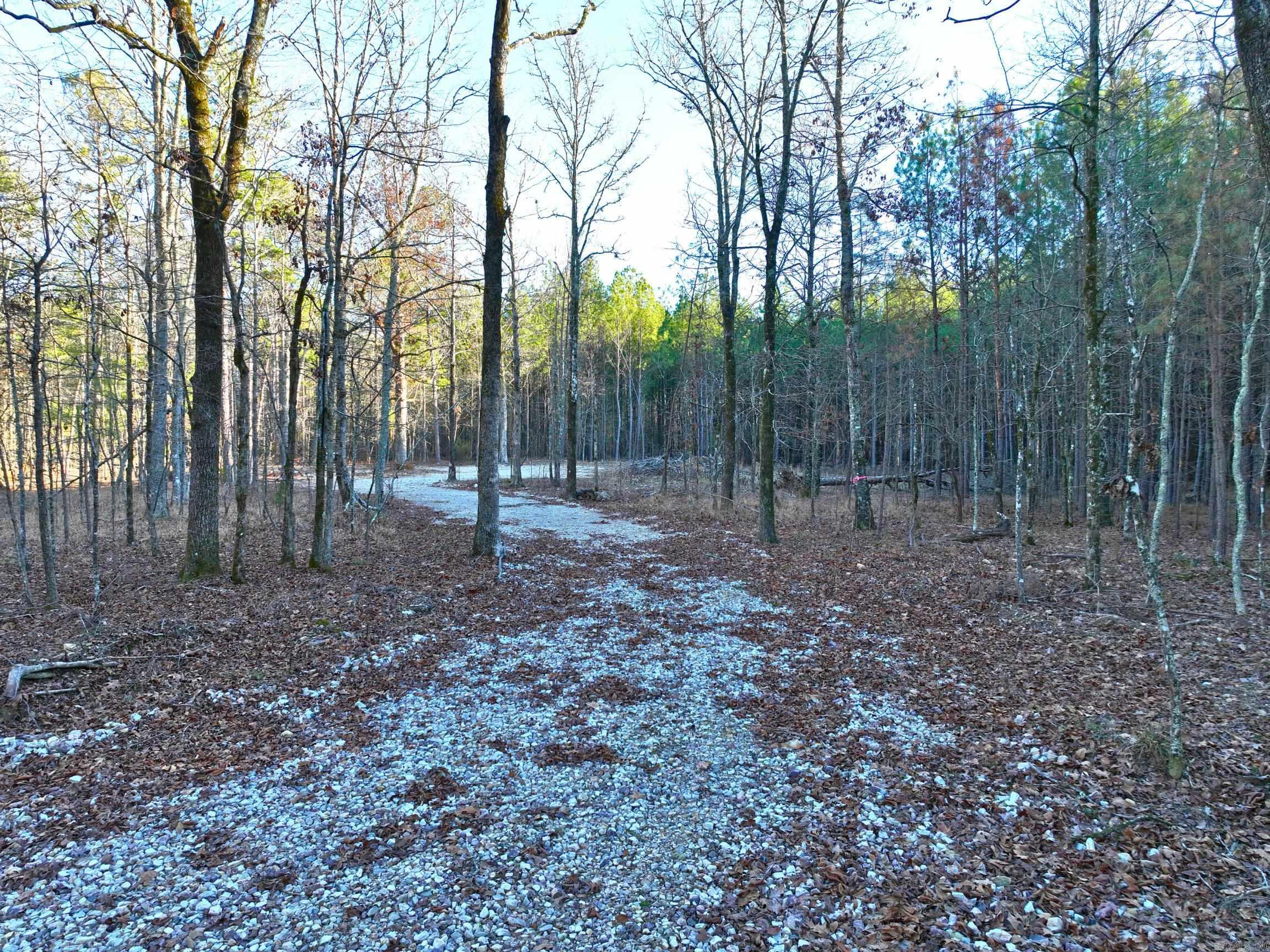 300 Block of Stihl  Hot Springs, AR