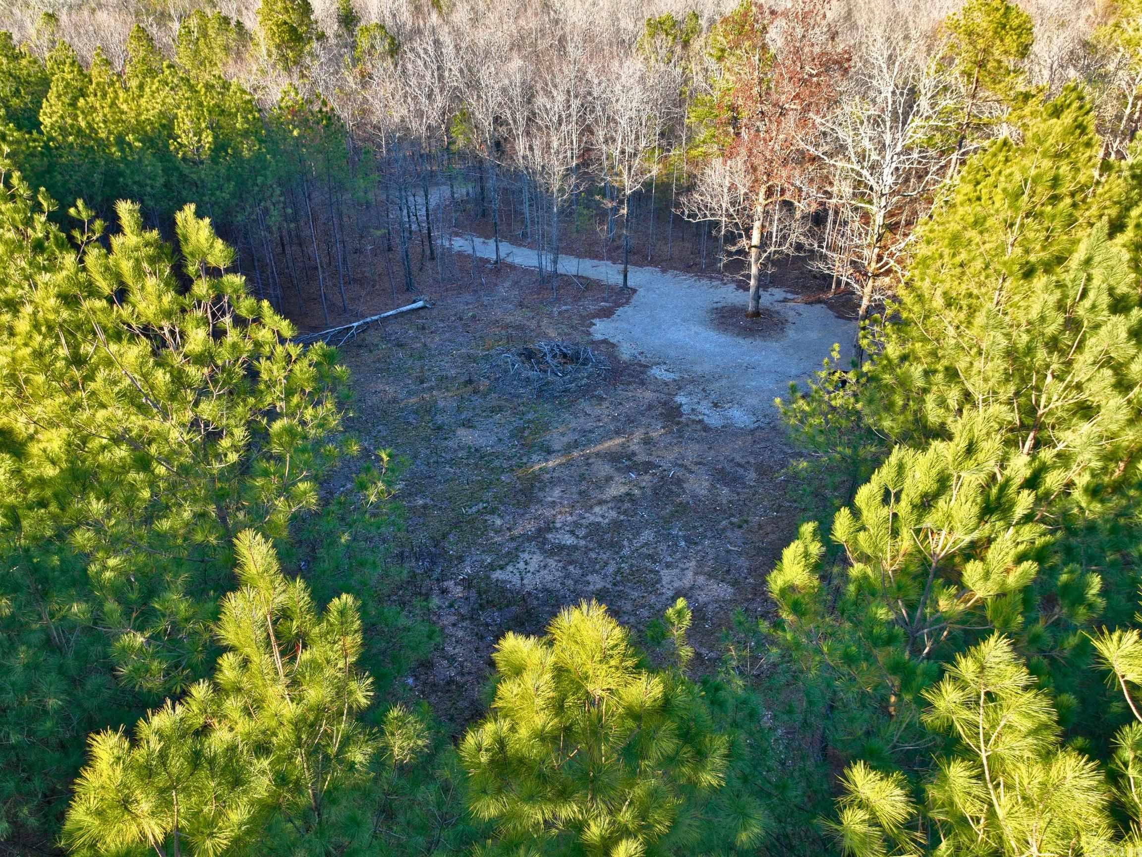 300 Block of Stihl  Hot Springs, AR