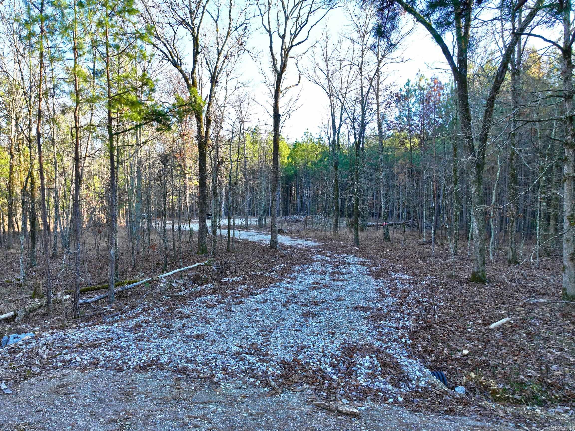300 Block of Stihl  Hot Springs, AR