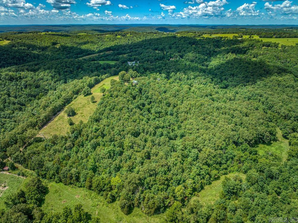 970 Fawn Drive  Harriet, AR