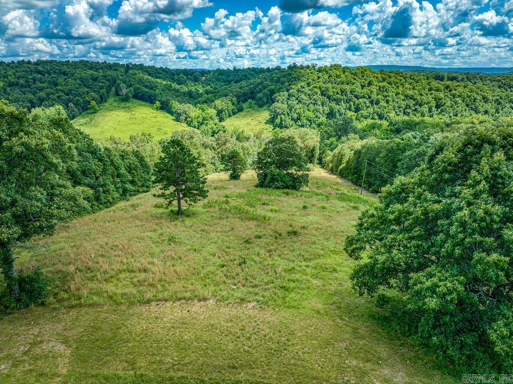 970 Fawn Drive  Harriet, AR