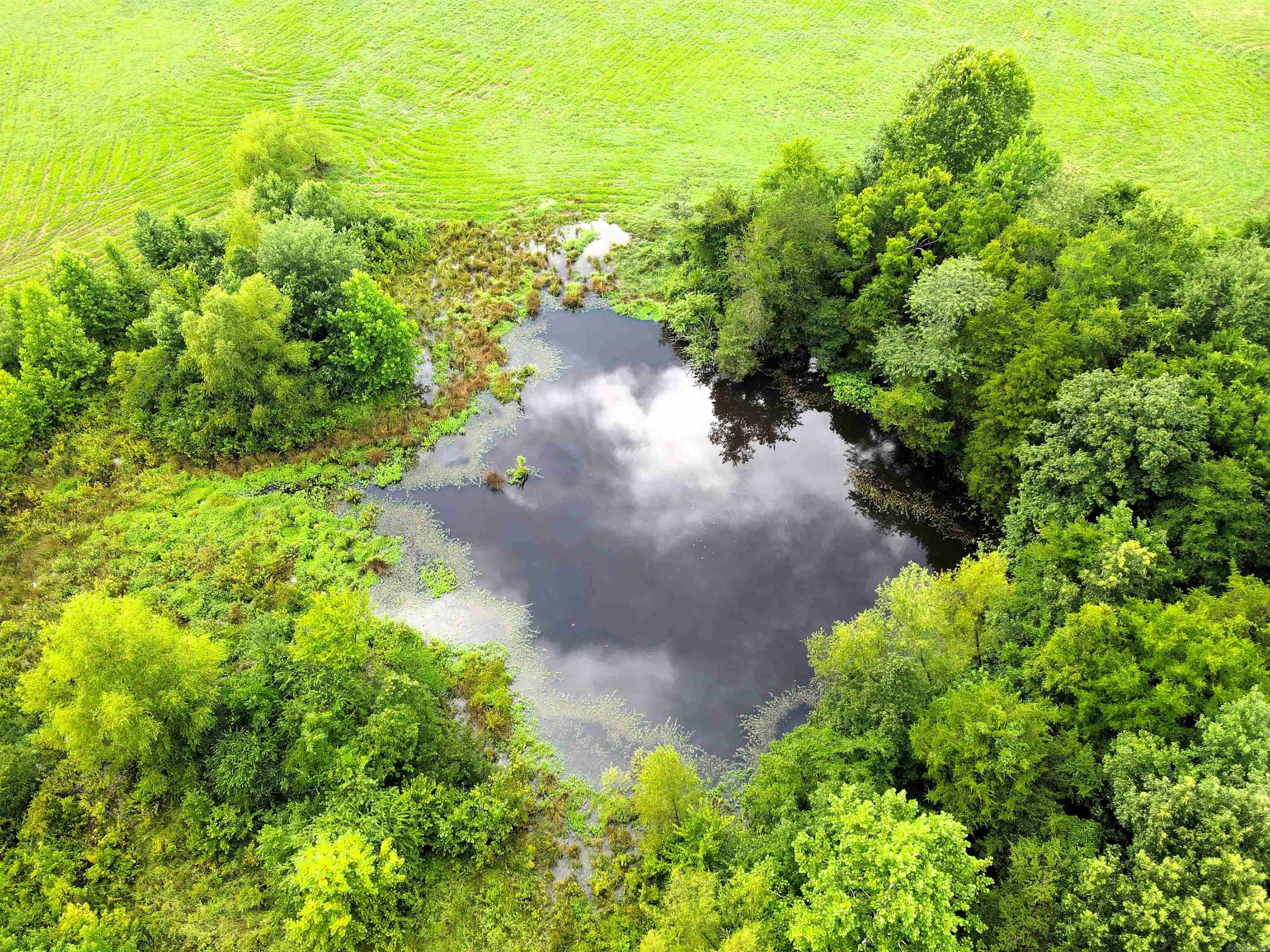 248 Hill Creek  Plumerville, AR