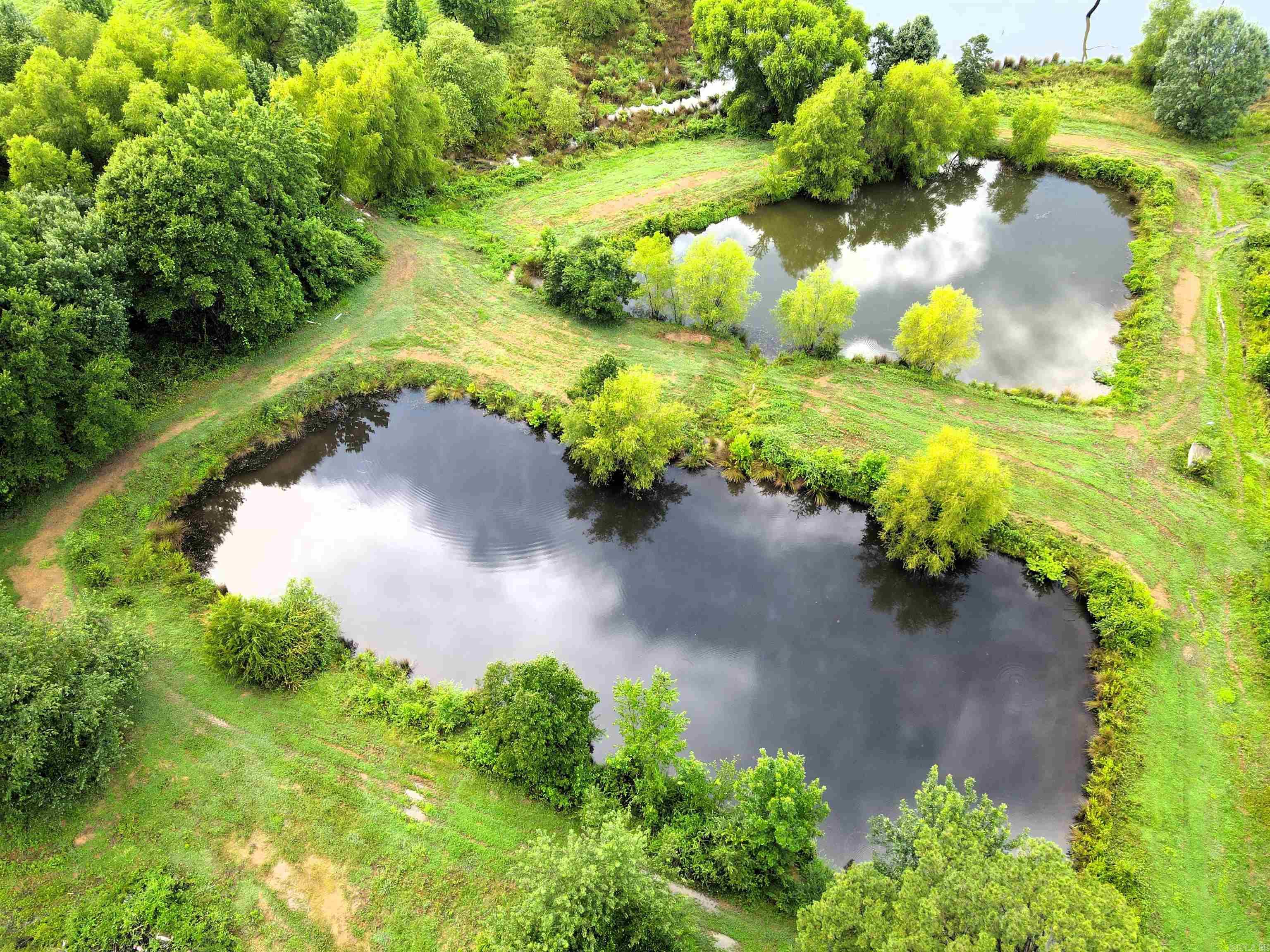 248 Hill Creek  Plumerville, AR