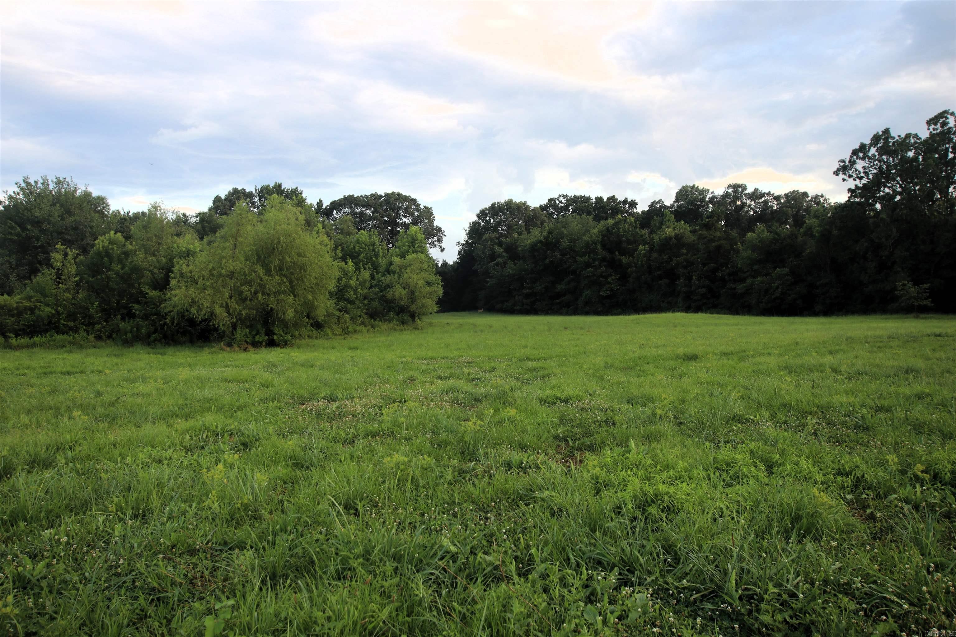 248 Hill Creek  Plumerville, AR