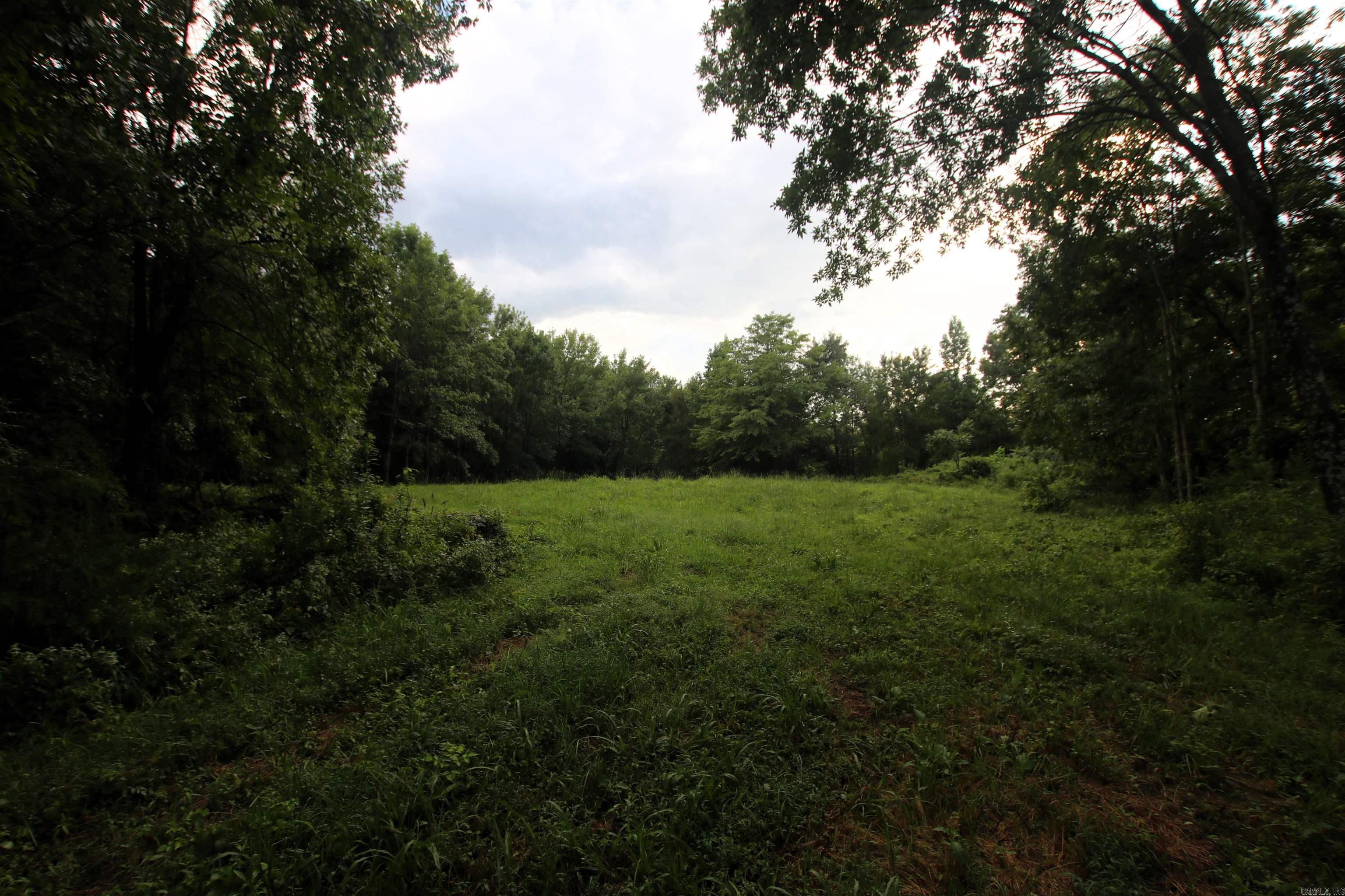 248 Hill Creek  Plumerville, AR