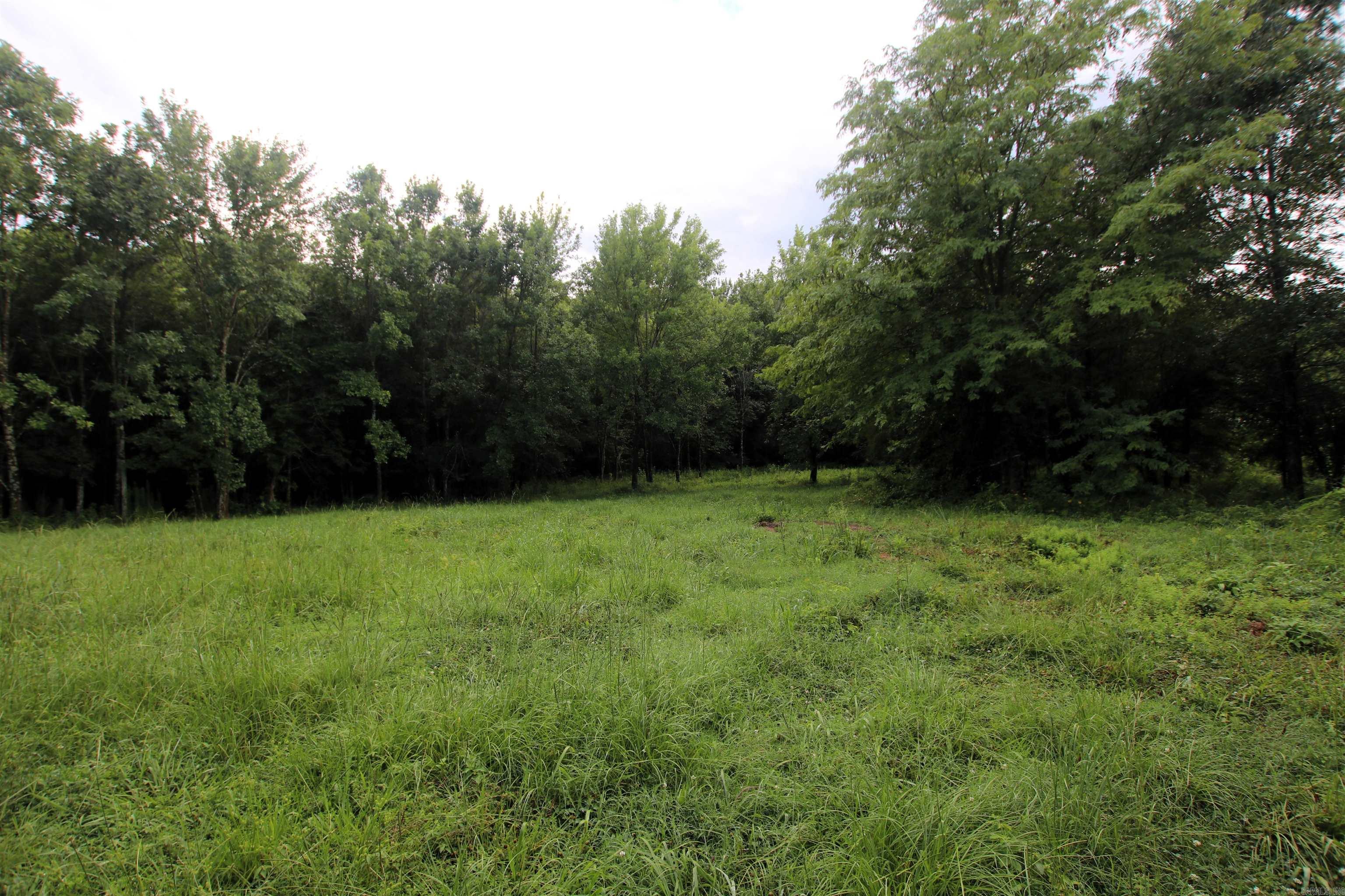 248 Hill Creek  Plumerville, AR