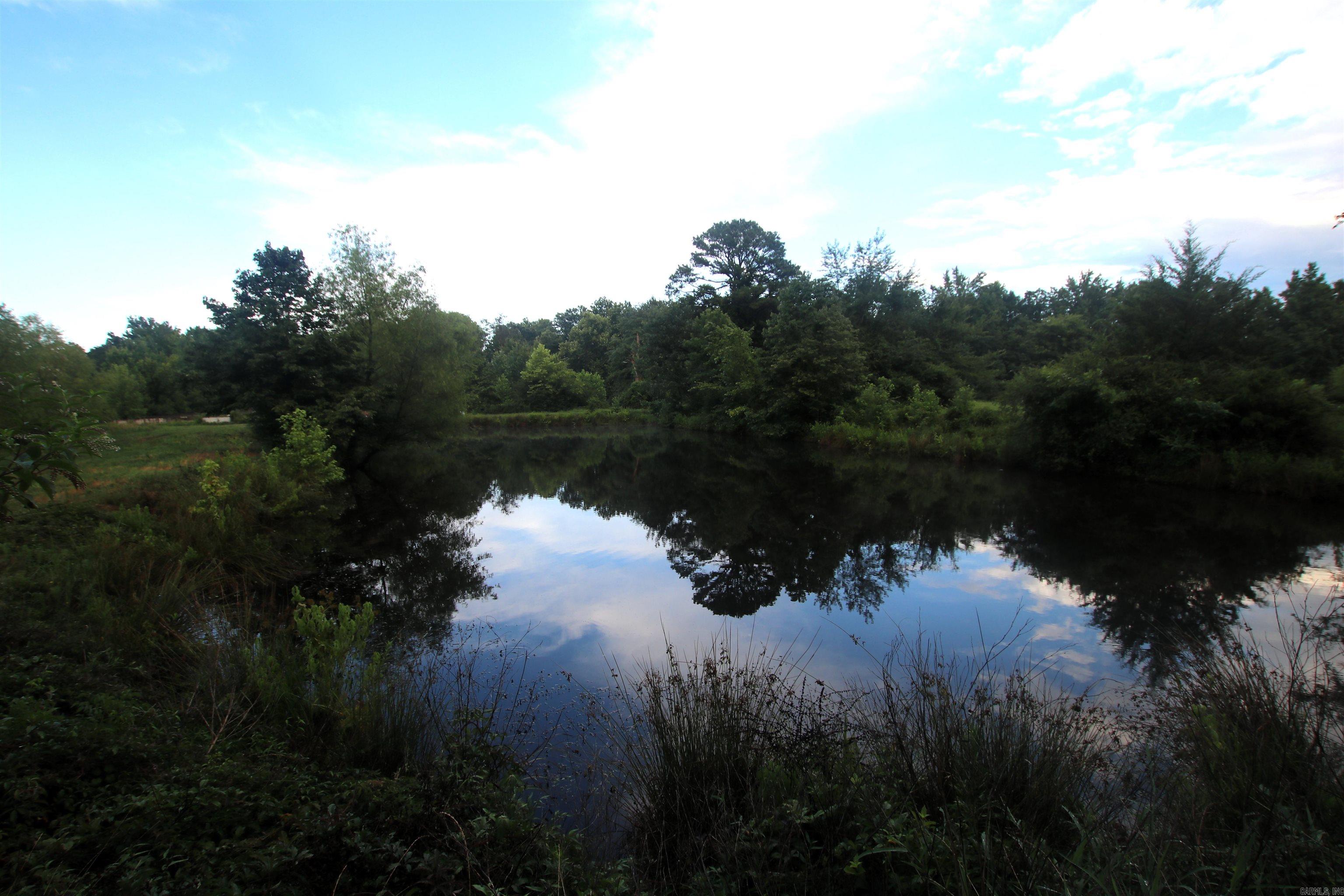 248 Hill Creek  Plumerville, AR