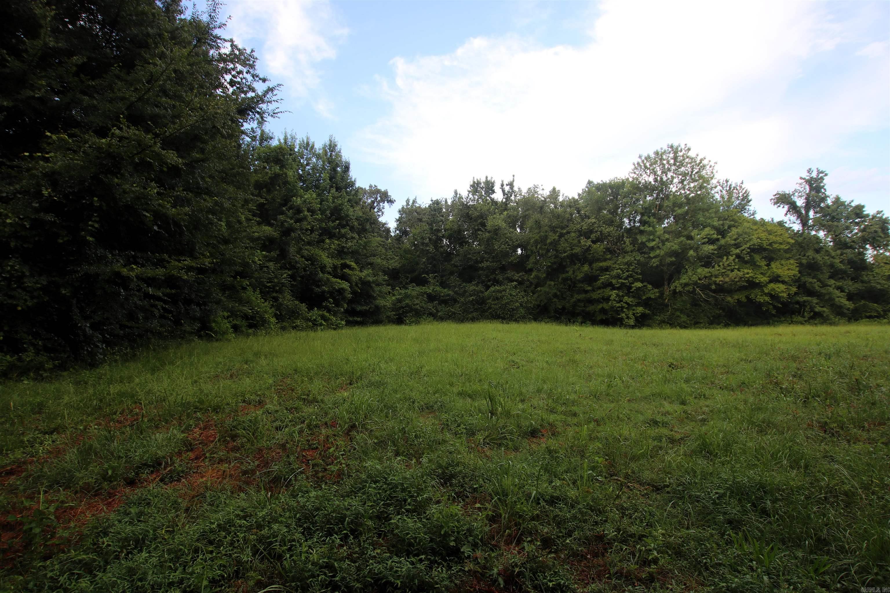 248 Hill Creek  Plumerville, AR