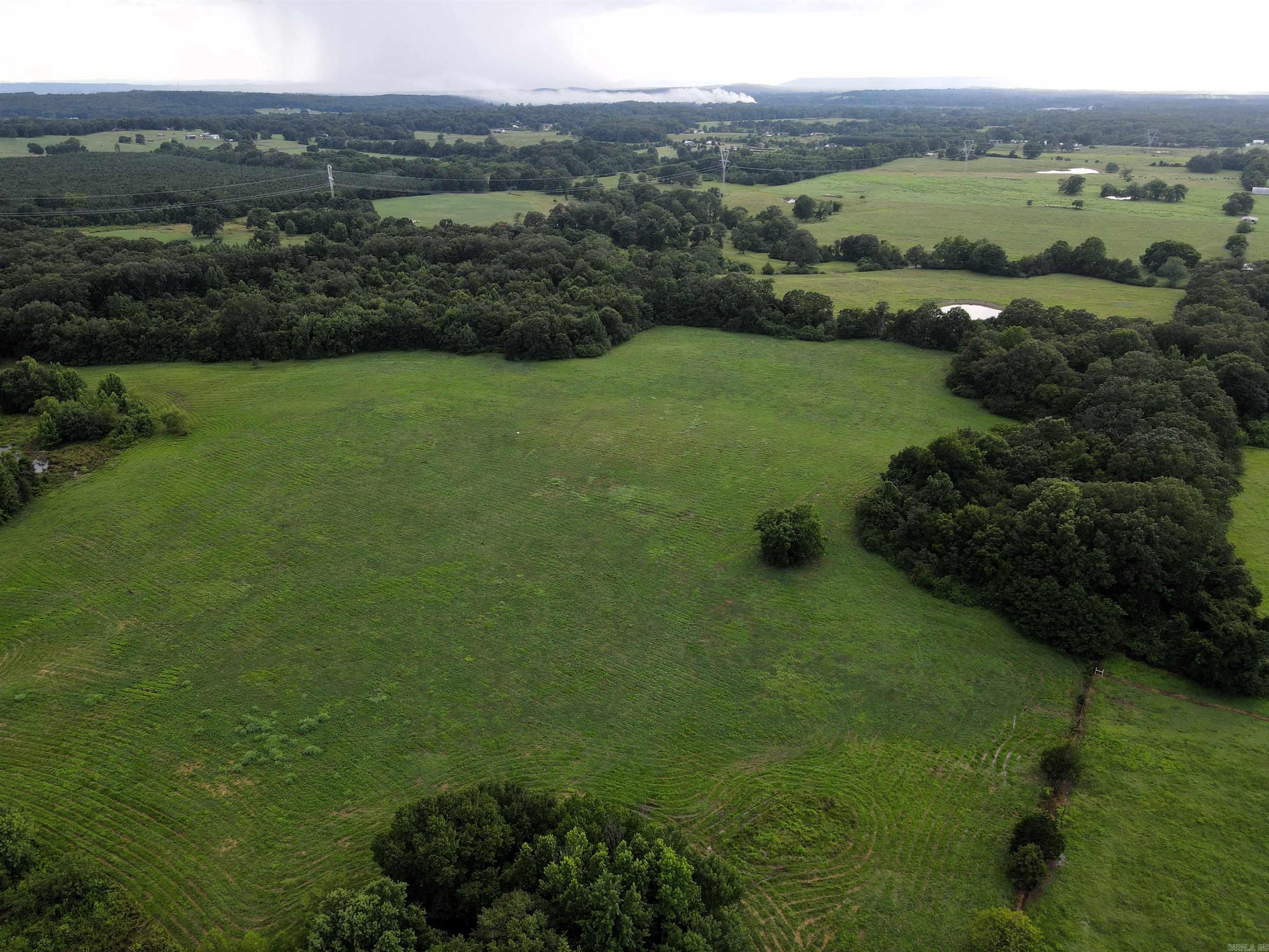 248 Hill Creek  Plumerville, AR