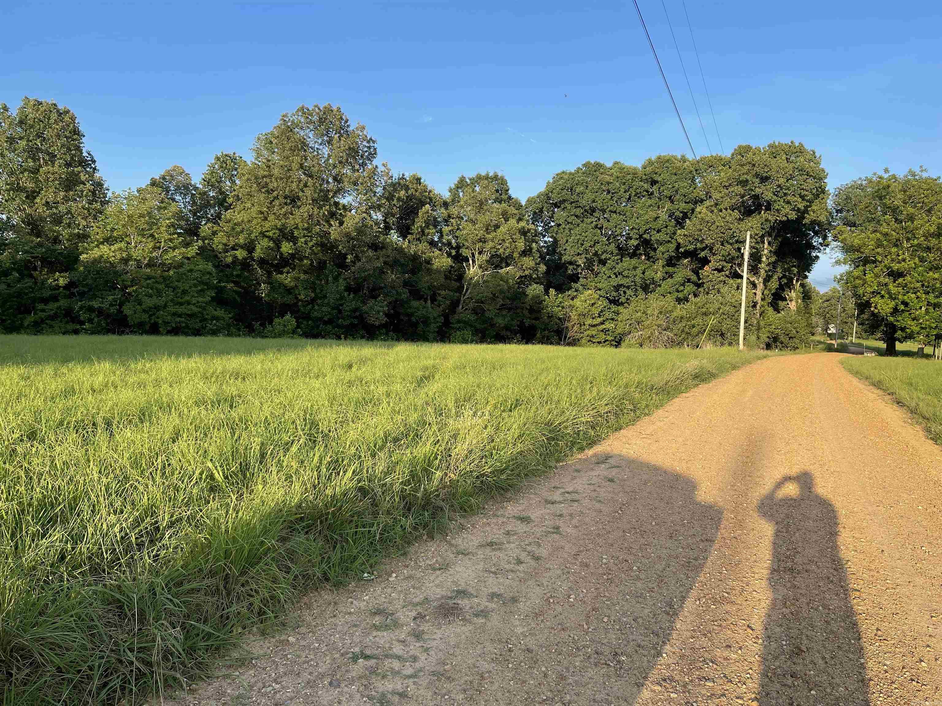  Cr 760  Wynne, AR