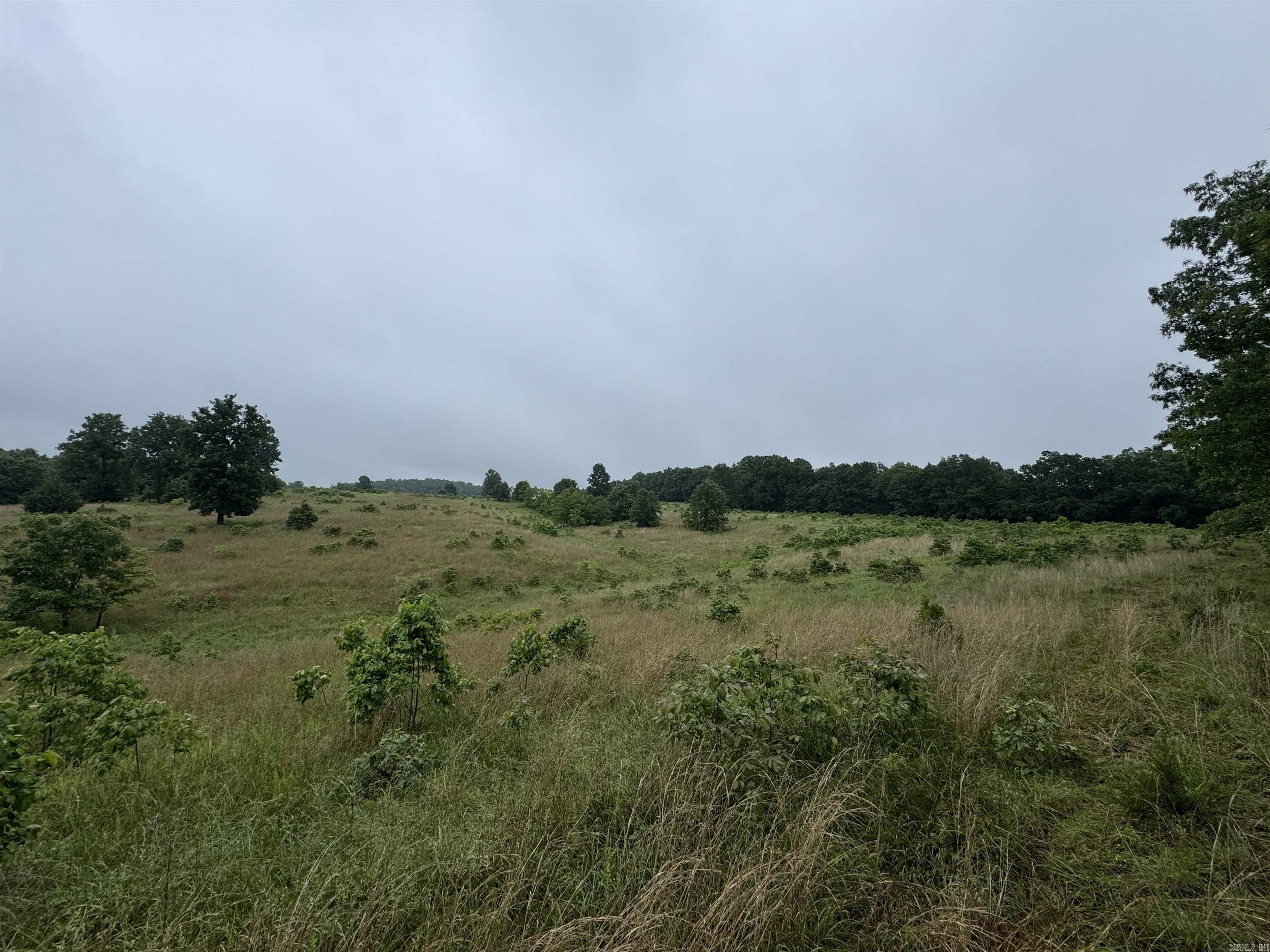 0 Honeytree  Camp, AR