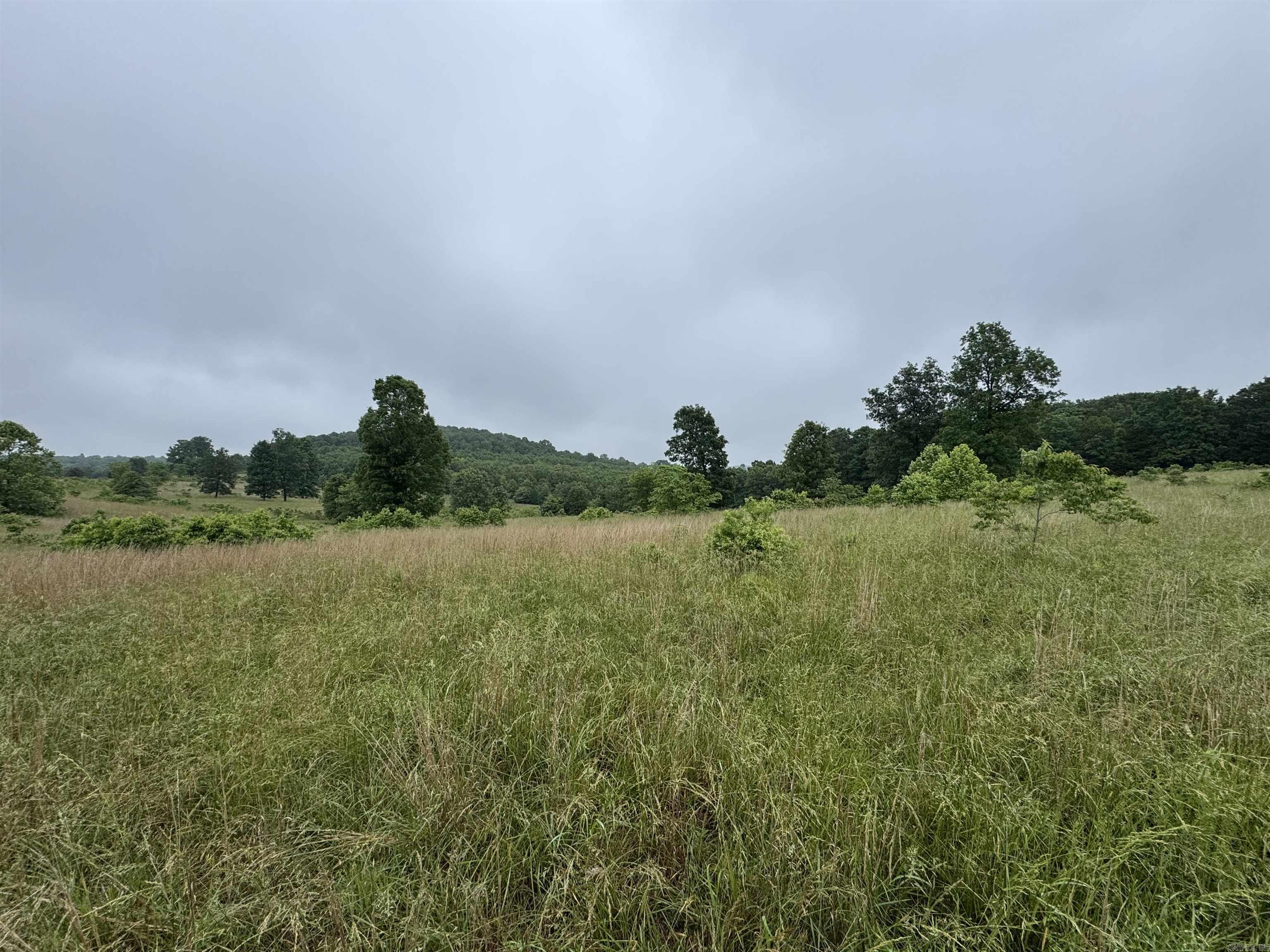 0 Honeytree  Camp, AR