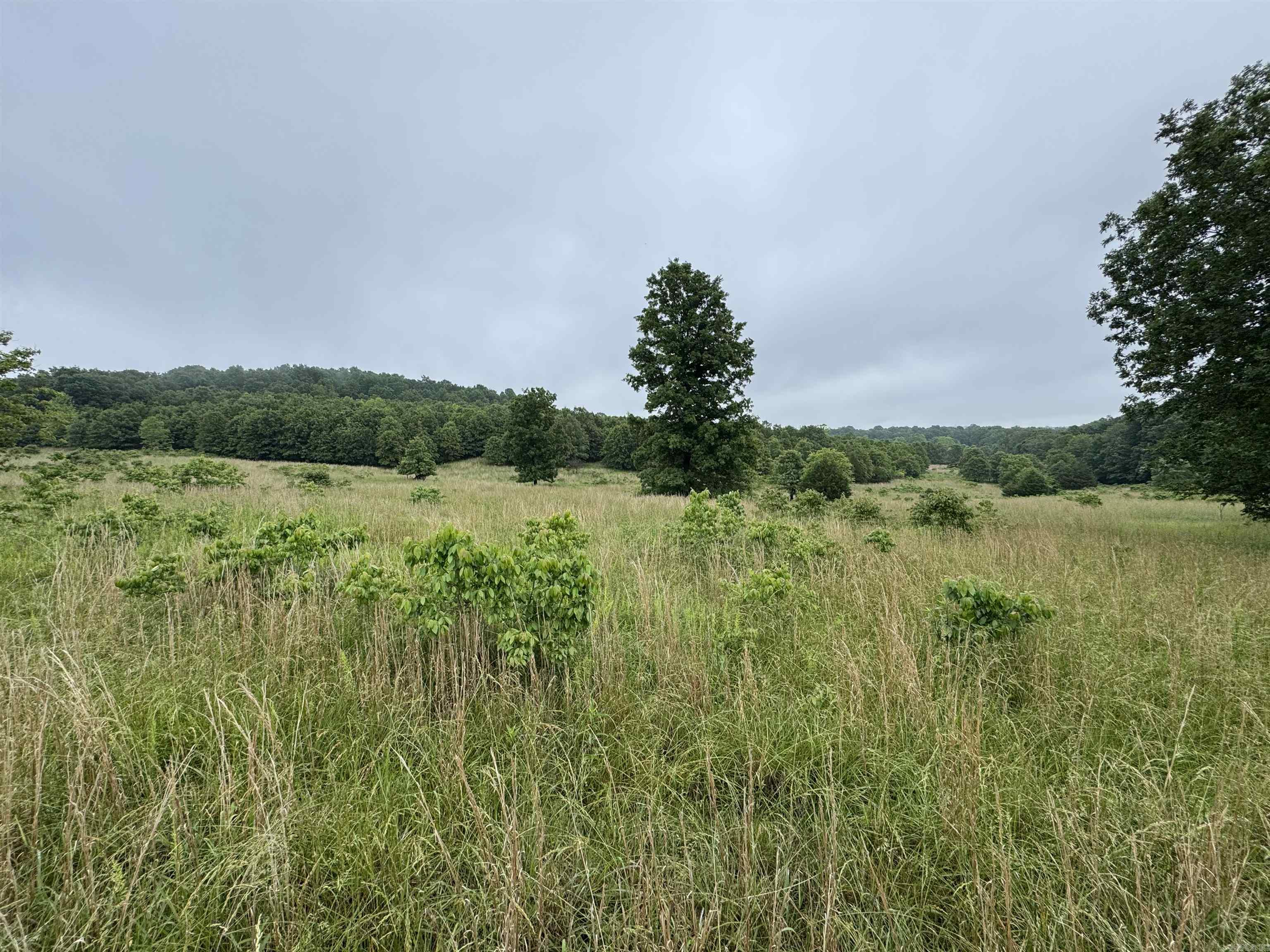 0 Honeytree  Camp, AR