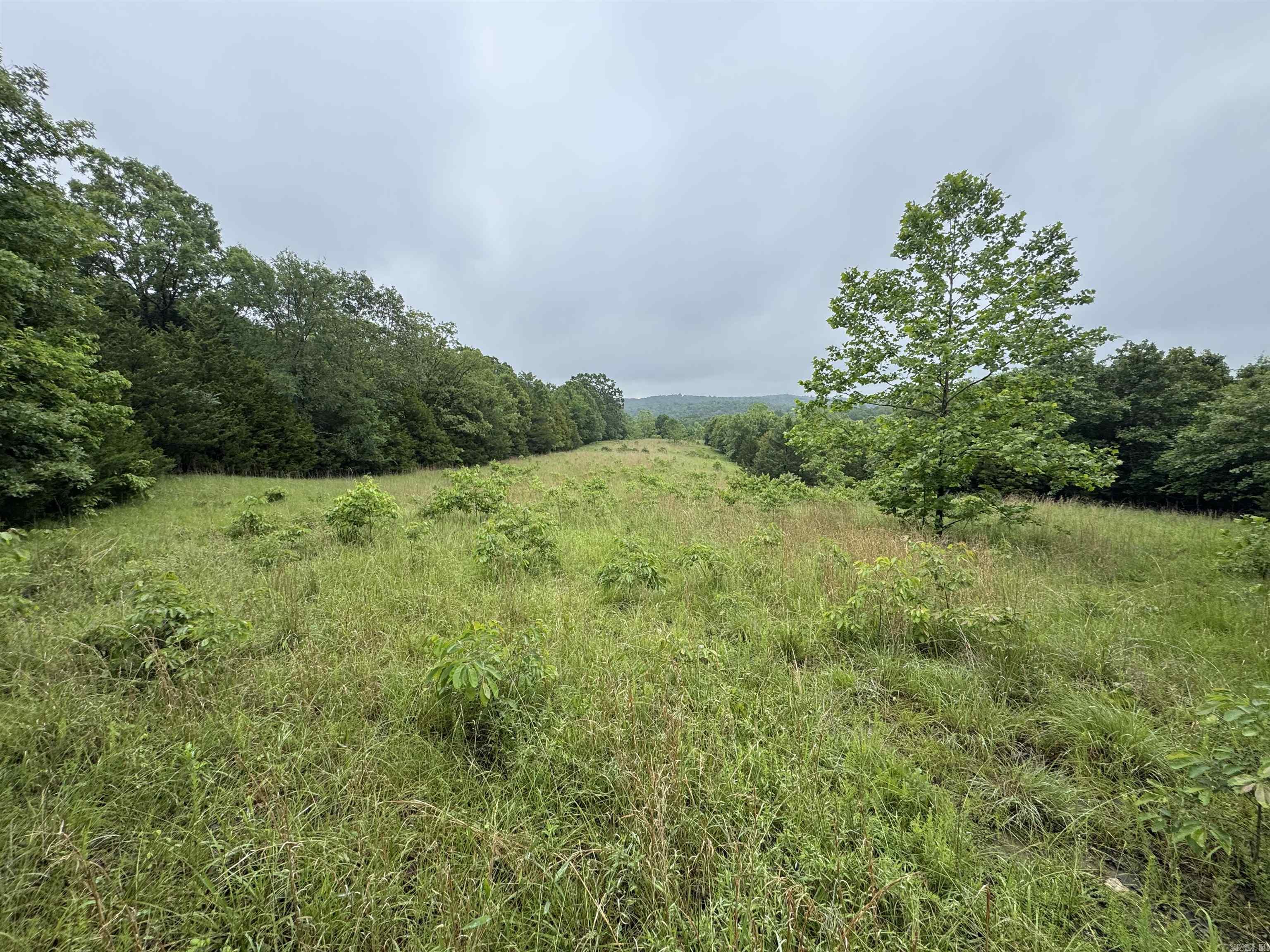 0 Honeytree  Camp, AR