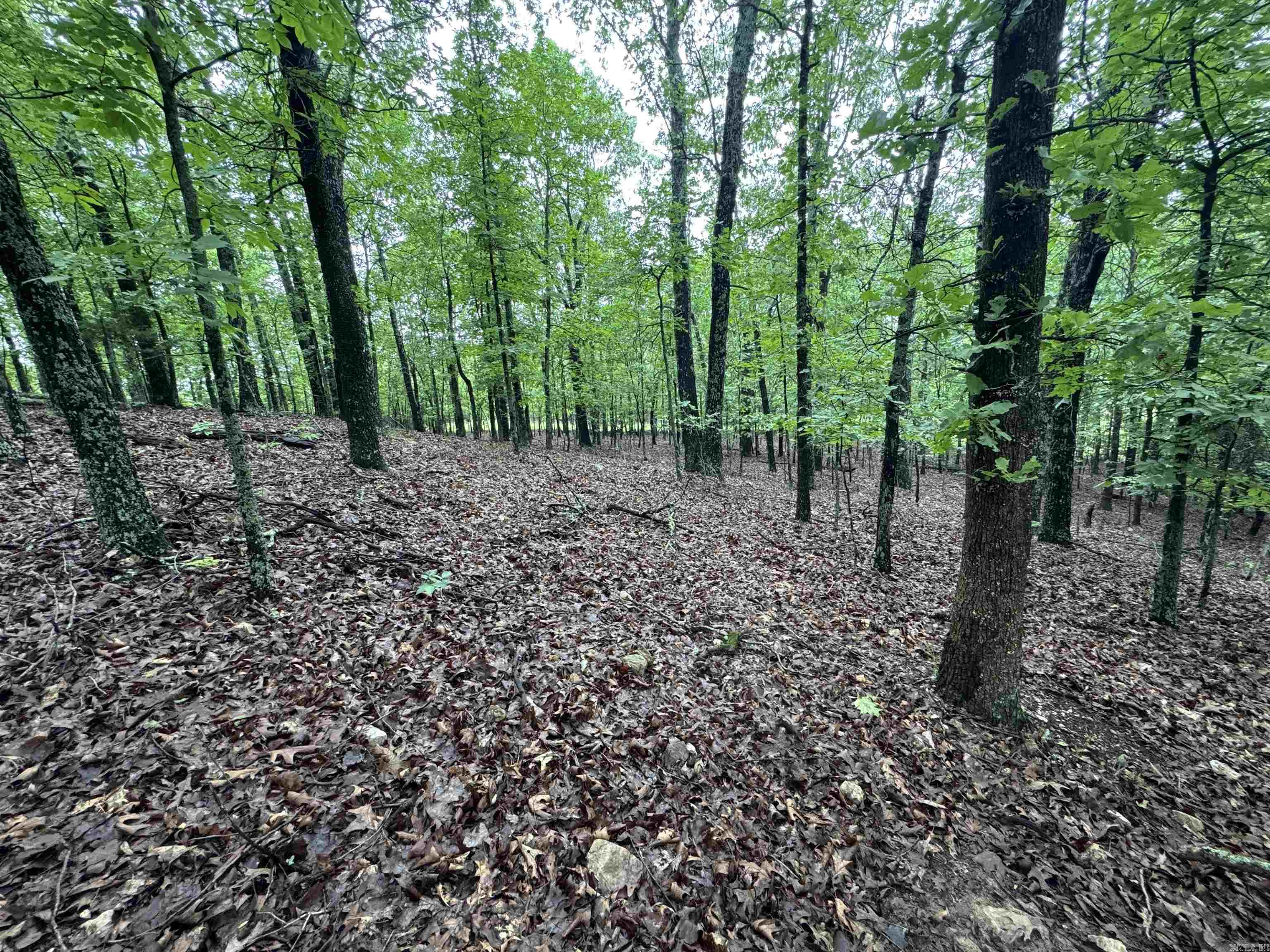 0 Honeytree  Camp, AR