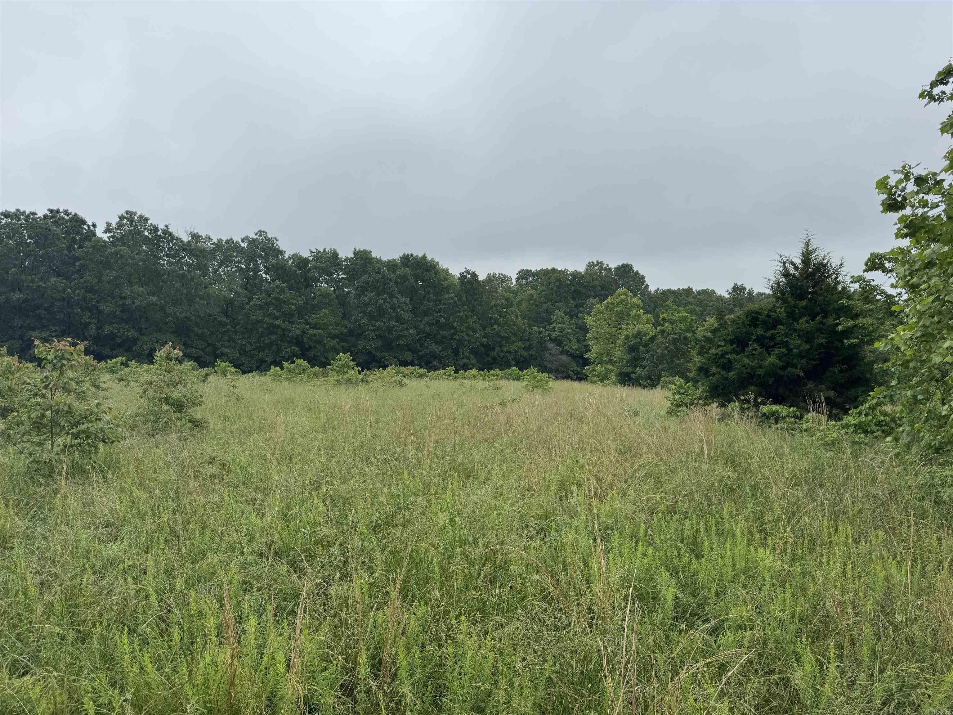 0 Honeytree  Camp, AR
