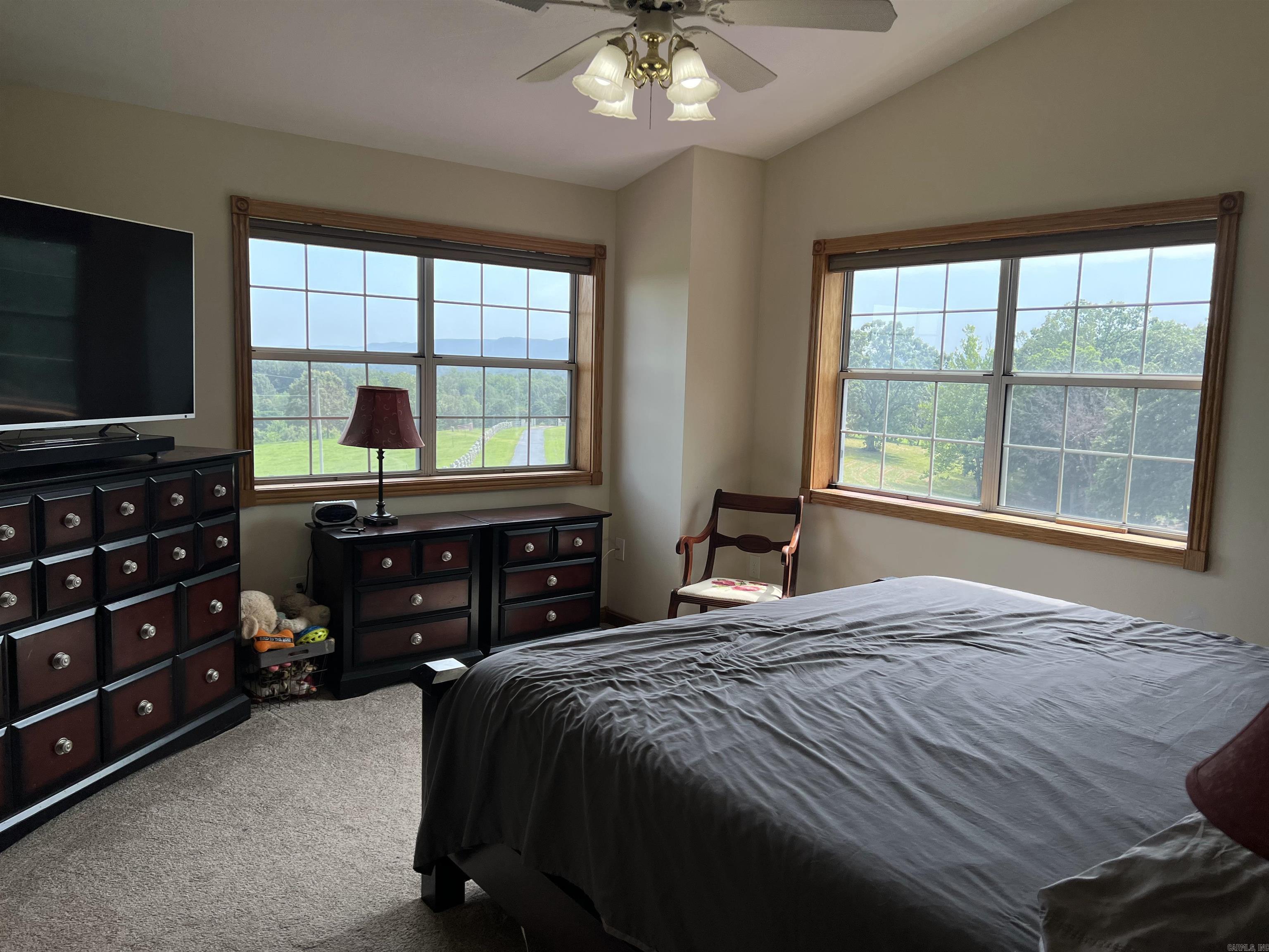 454 Cattail  Saint Joe, AR