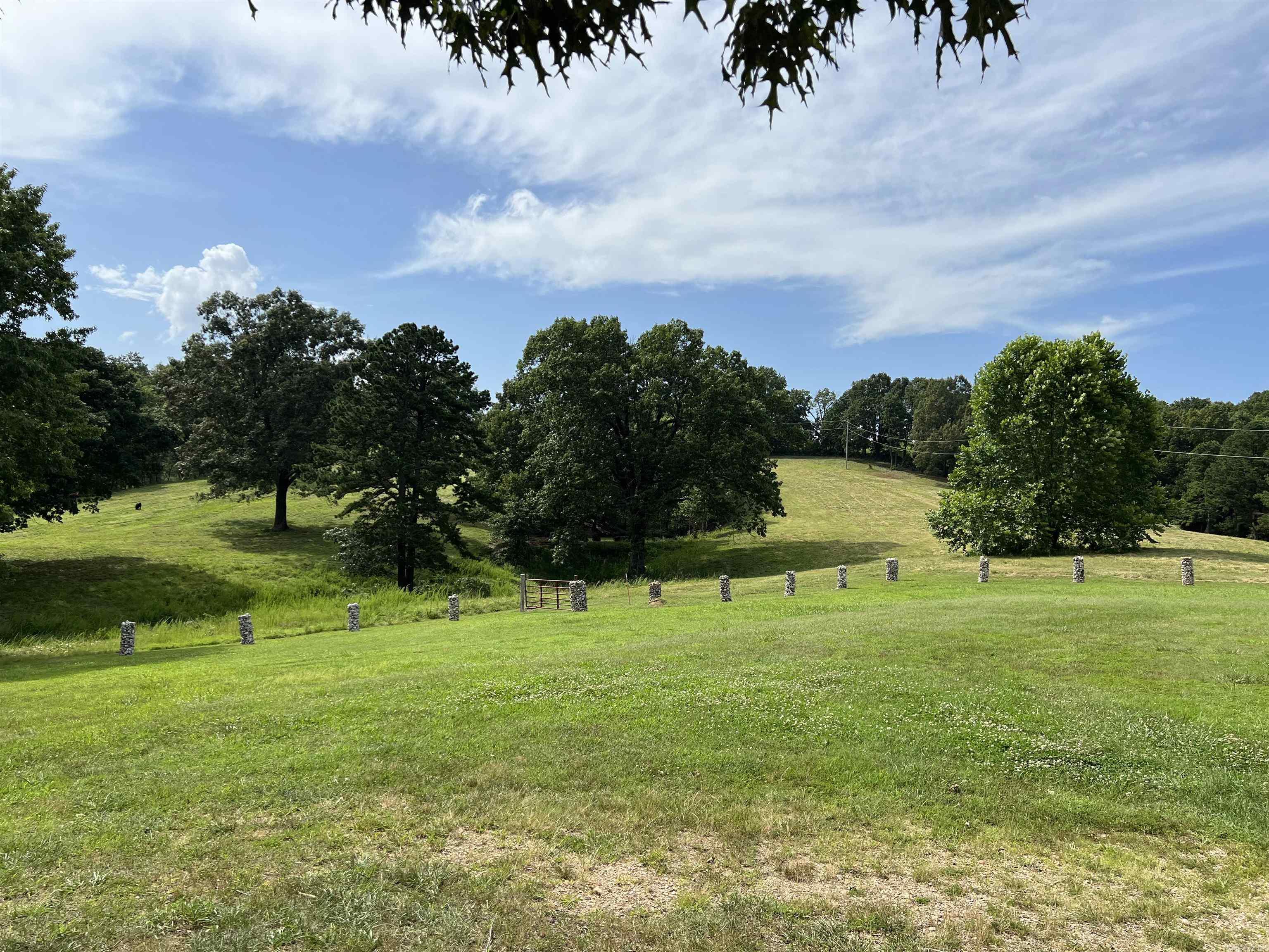454 Cattail  Saint Joe, AR