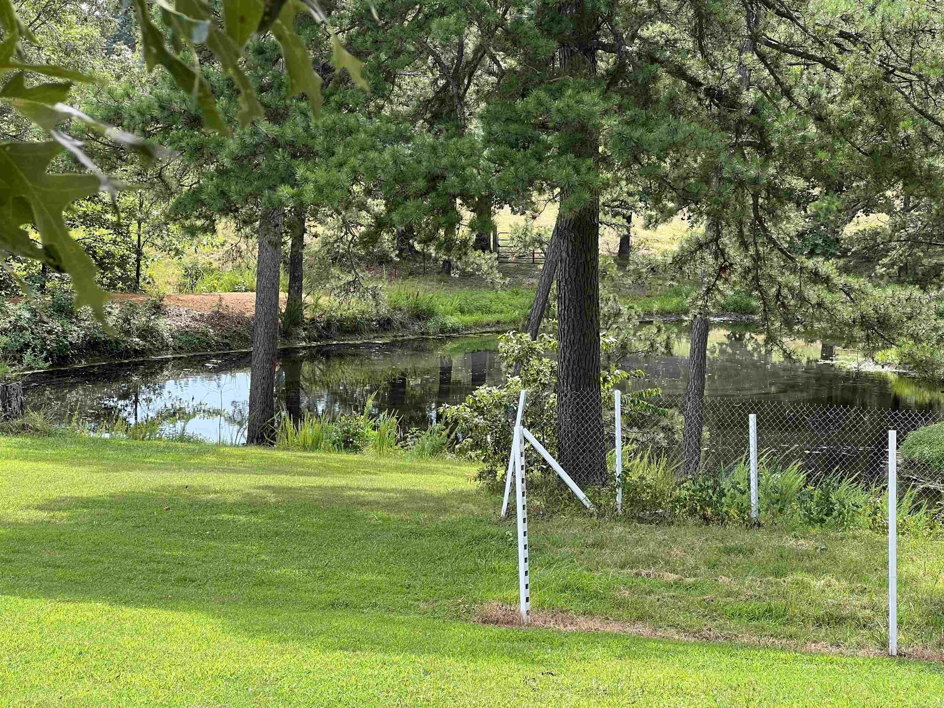 454 Cattail  Saint Joe, AR