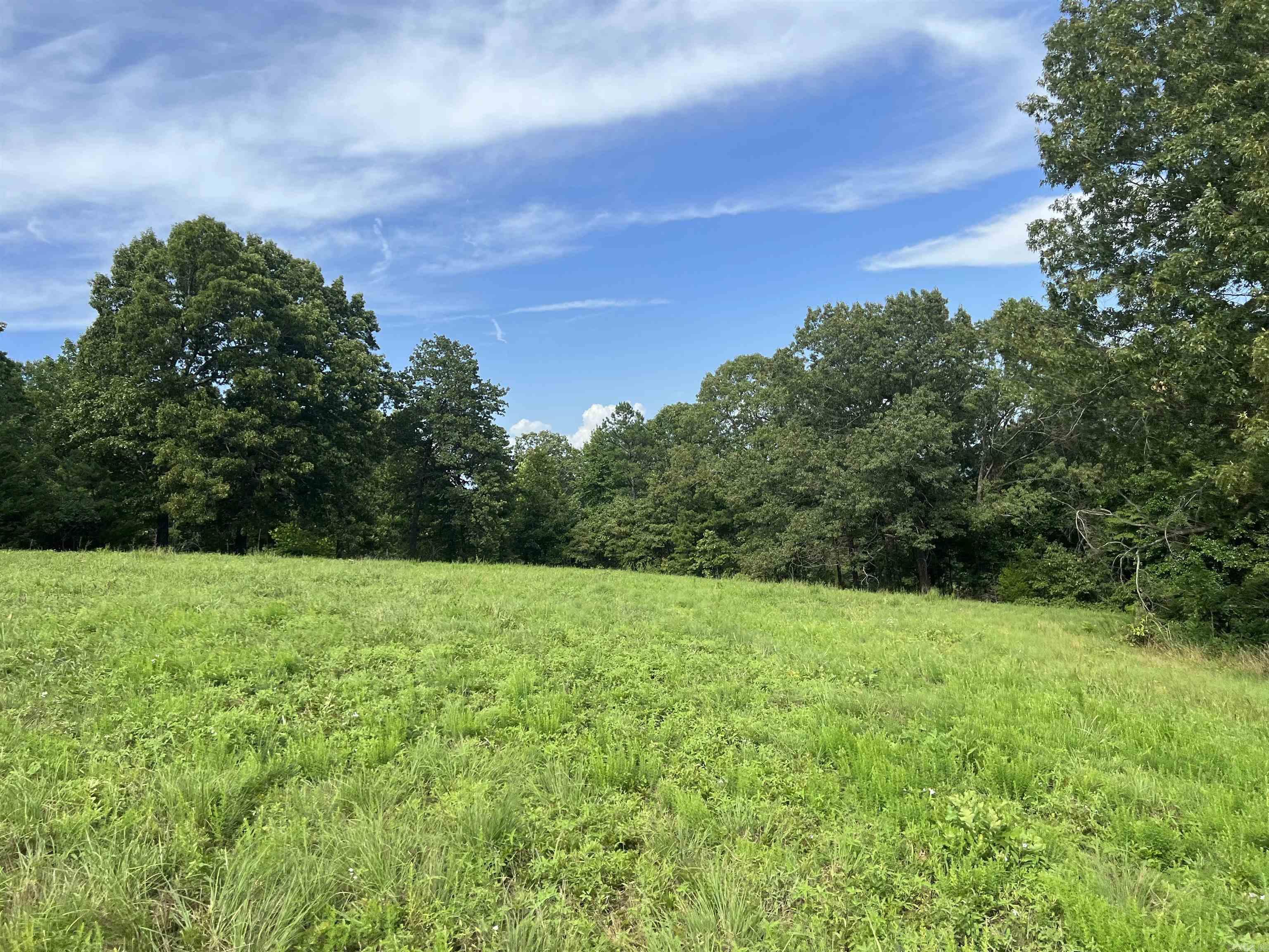 454 Cattail  Saint Joe, AR