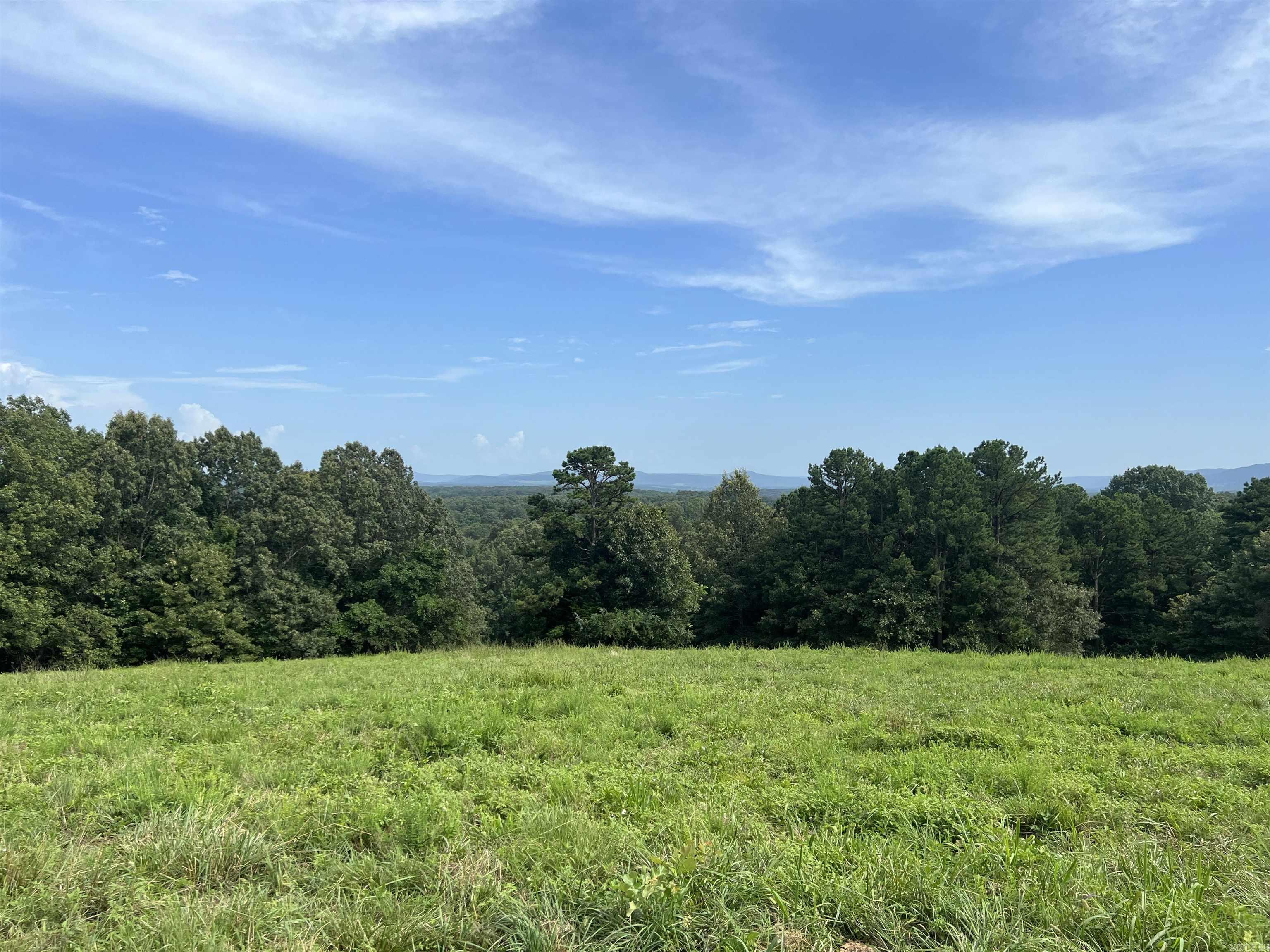454 Cattail  Saint Joe, AR