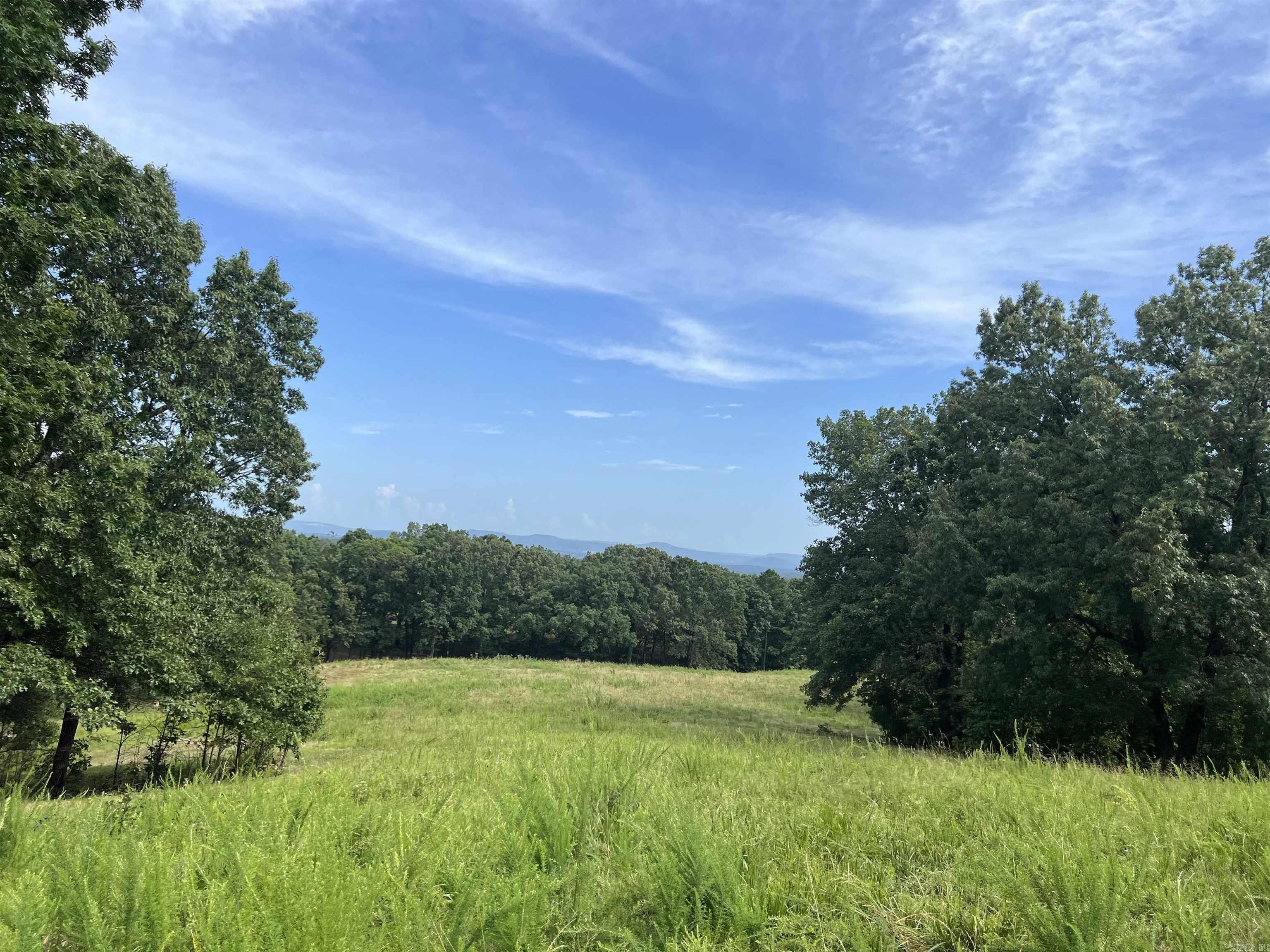 454 Cattail  Saint Joe, AR