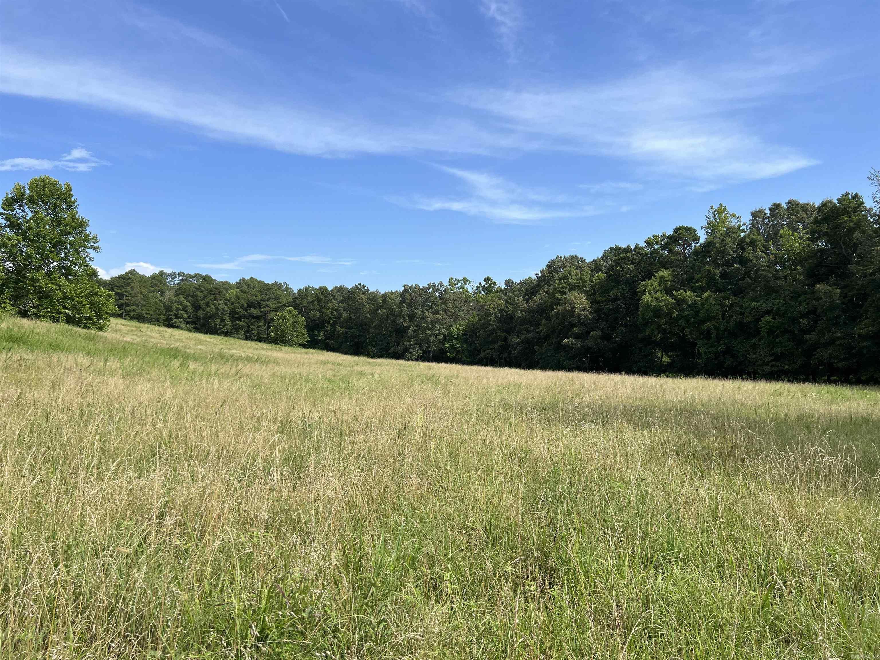 454 Cattail  Saint Joe, AR