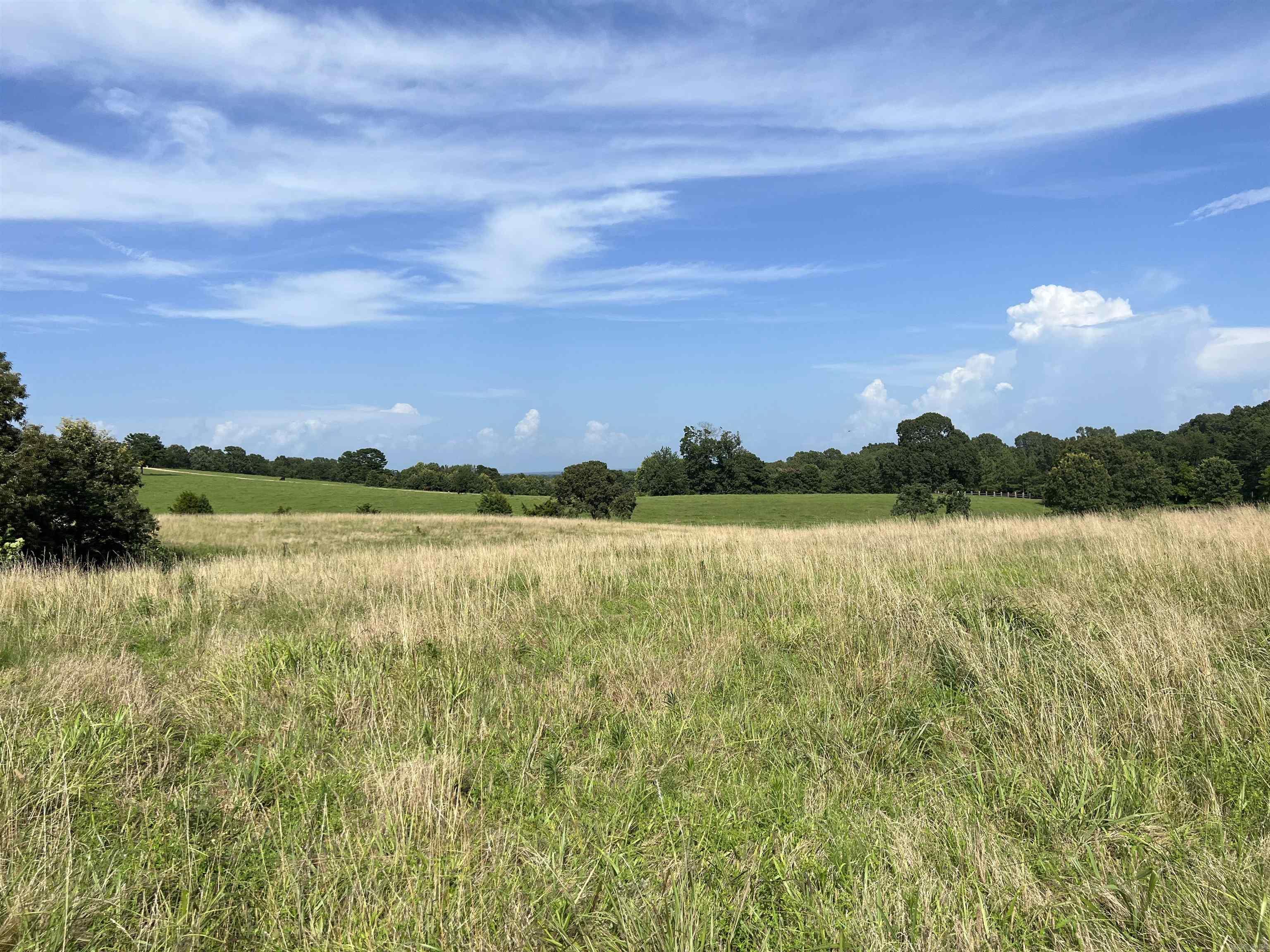 454 Cattail  Saint Joe, AR